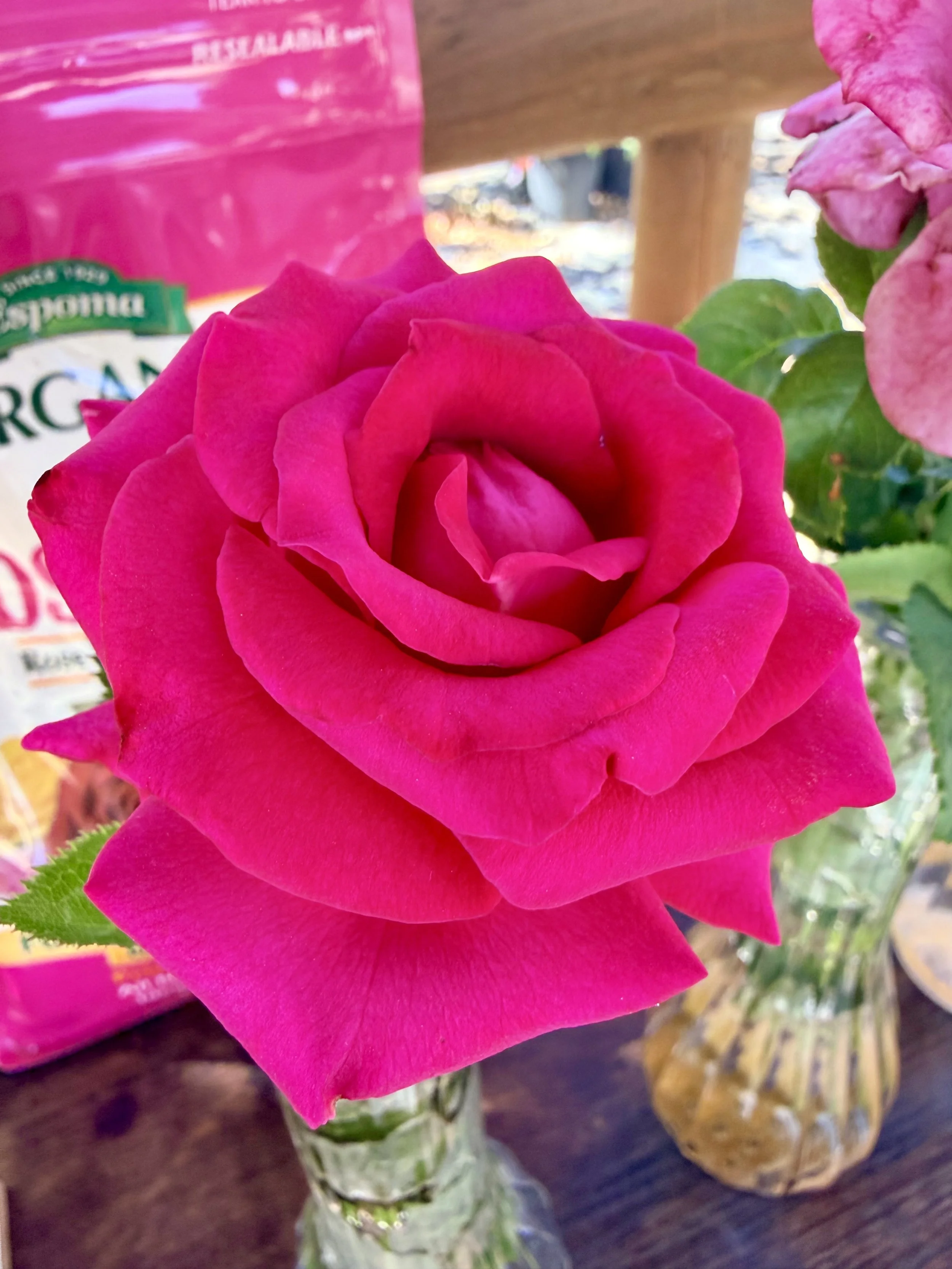 Close-up of a pink rose in a small glass vase, with a pink package behind it and a plant in a glass jar in the background on a wooden surface.