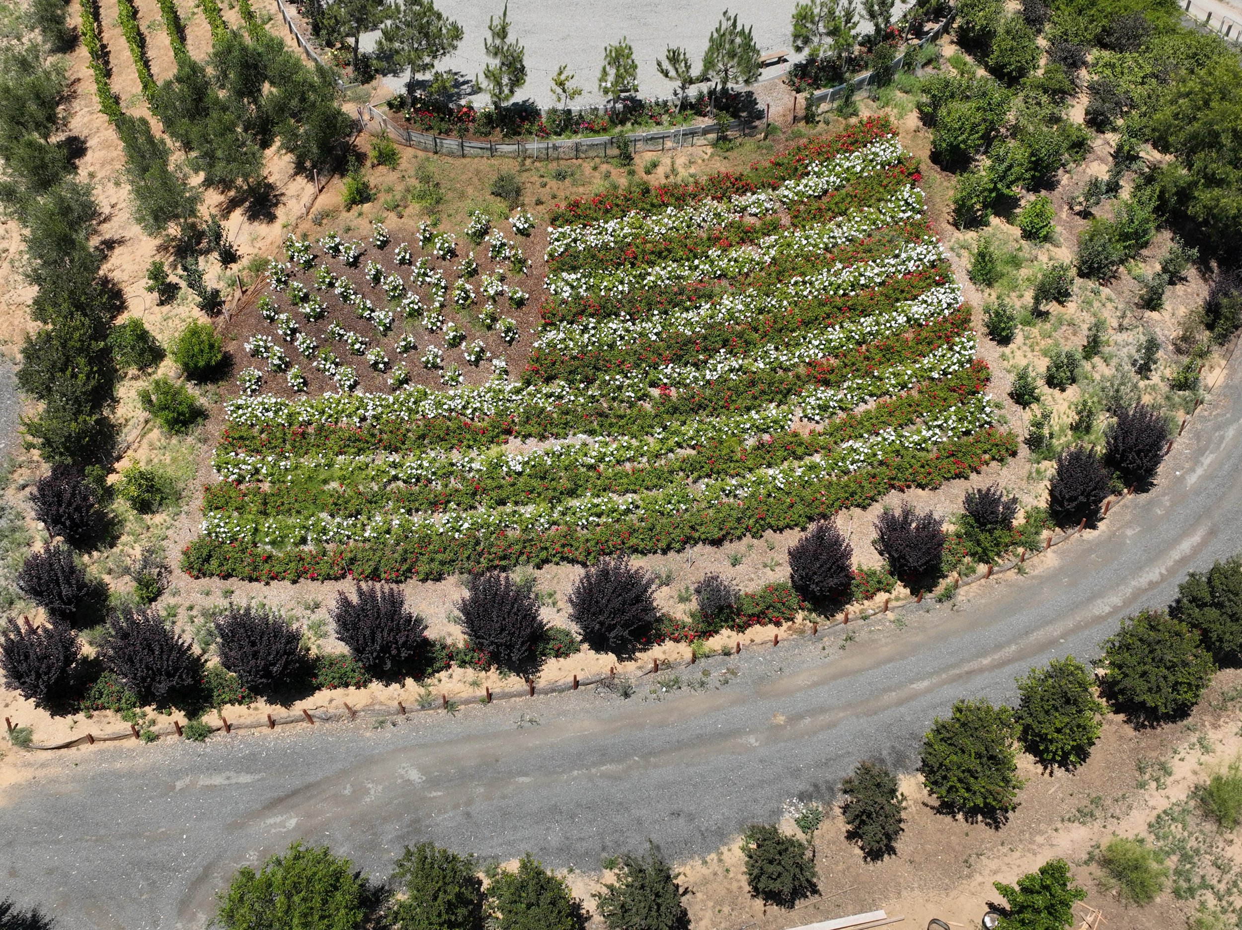 An aerial view of a landscaped area with a garden containing numerous blooming white and red flowers, surrounded by green trees and shrubs, with a gravel pathway and a small fenced area at the top.