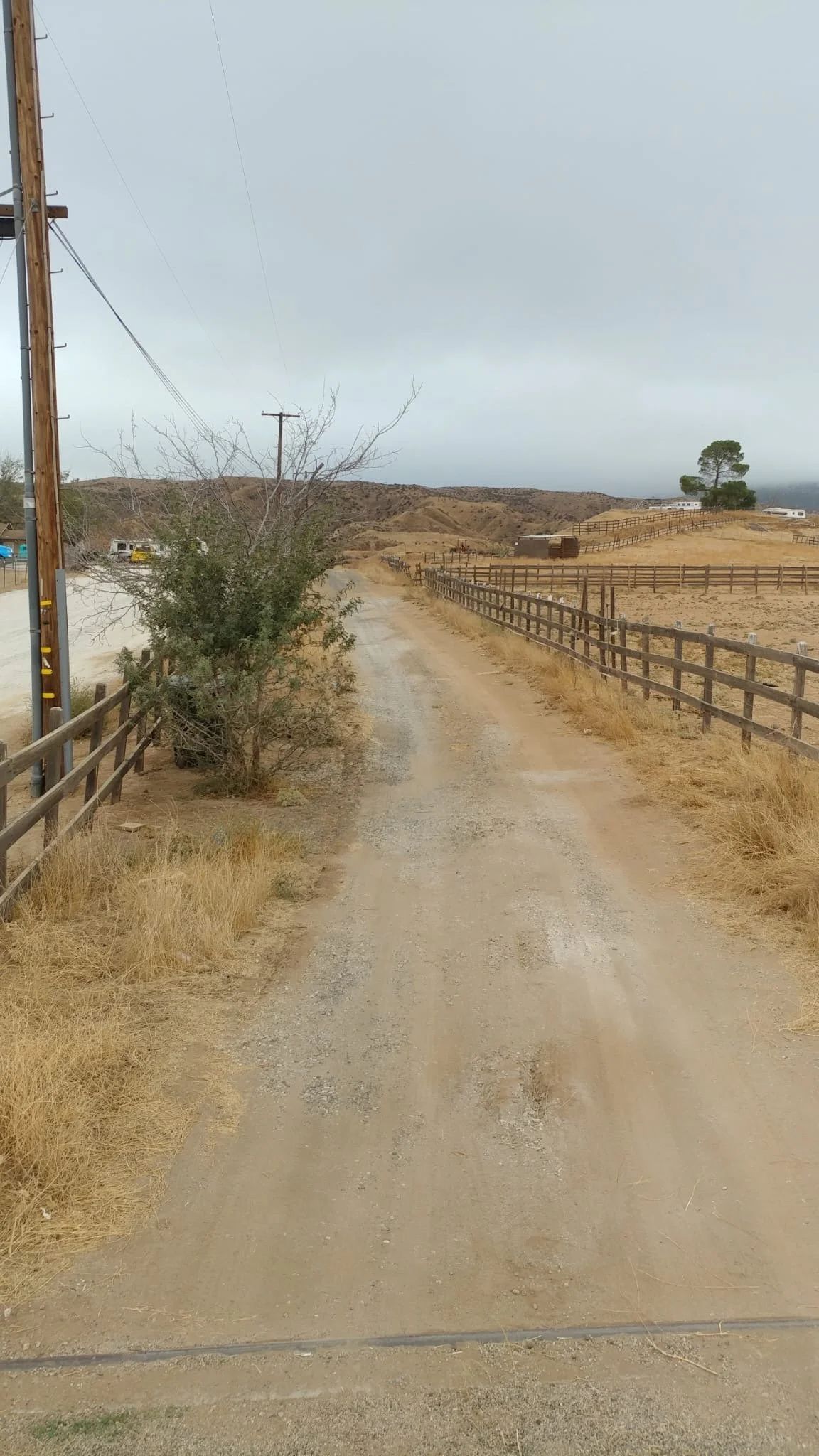 A dirt road in a rural area with fences on both sides, a leafless bush on the left, and dry grass and rolling hills in the background, under a cloudy sky.