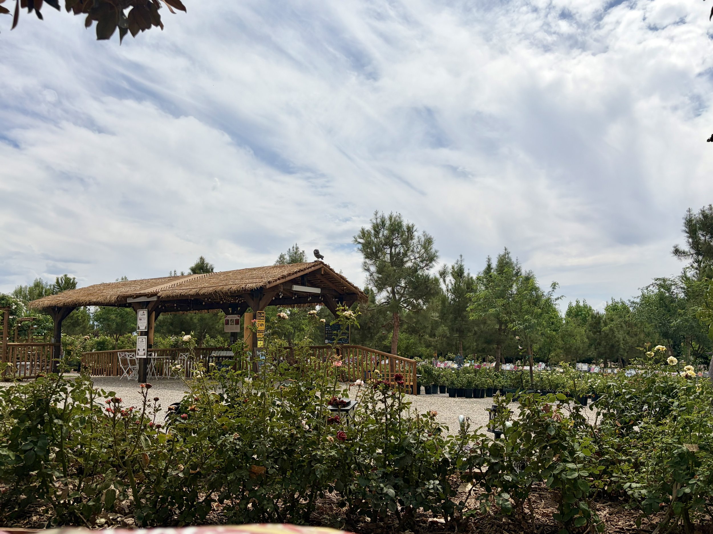 A garden or nursery with various potted plants and flowers, a wooden gazebo, and trees under a partly cloudy sky.
