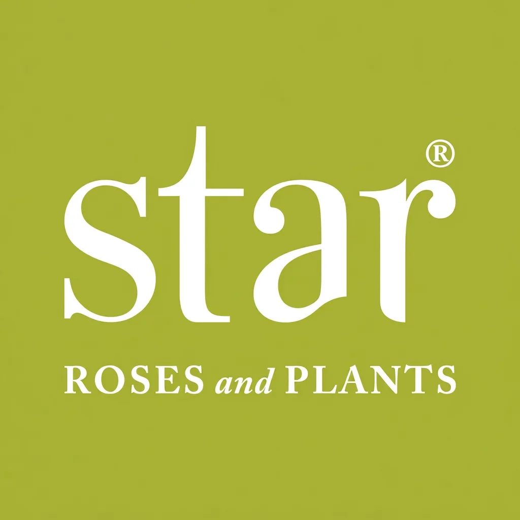 Green background with the word "star" in large white letters, and the phrase "ROSES and PLANTS" in smaller white letters underneath.