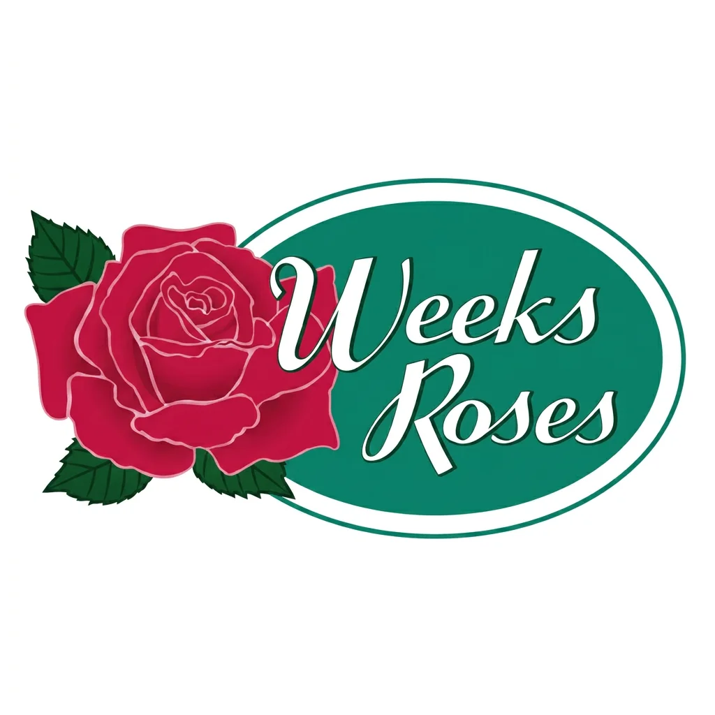 A logo with a red rose and green leaves on the left, and the text 'Weeks Roses' in white cursive font on a green oval background.
