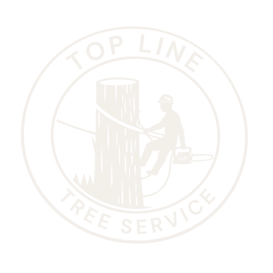 Top Line Tree Service