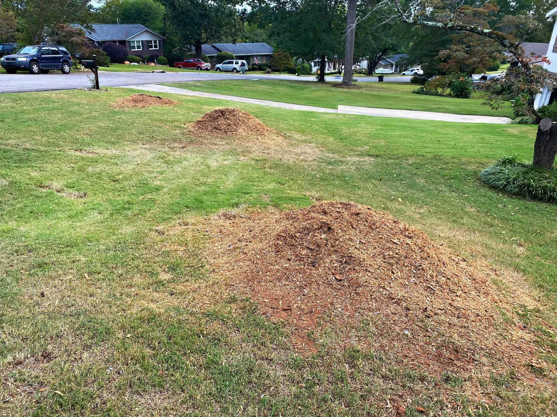 Three piles of freshly turned soil or mulch on a grassy lawn in a residential neighborhood.