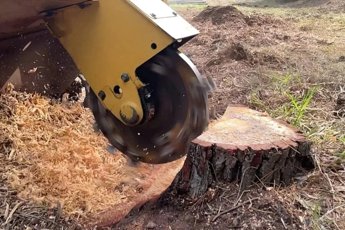 A yellow power saw cutting through a tree stump on the ground, creating wood shavings.