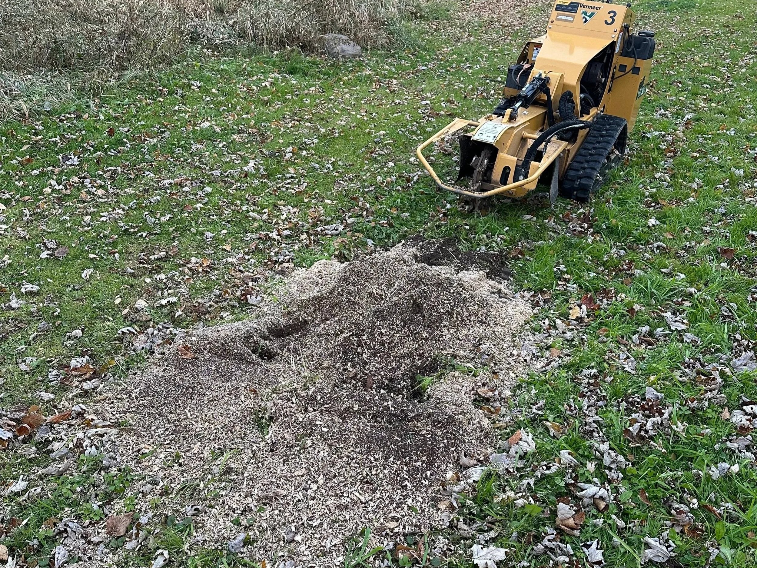 A small yellow tracked woodchipper near a mound of wood chips and sawdust on grassy ground, with some fallen leaves surrounding it.