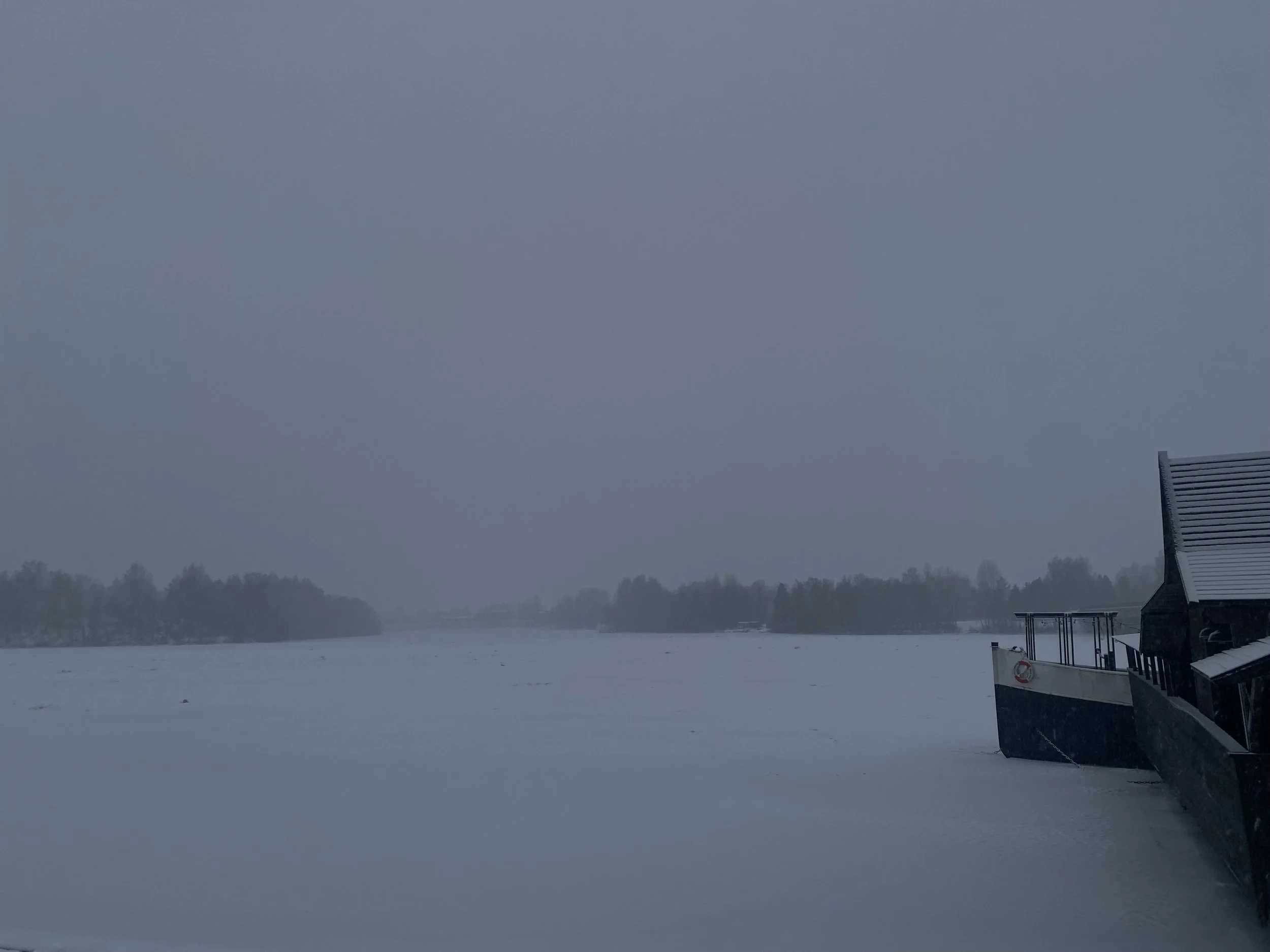 ramblings from a chronic over-thinker (interlude: i had a nightmare)