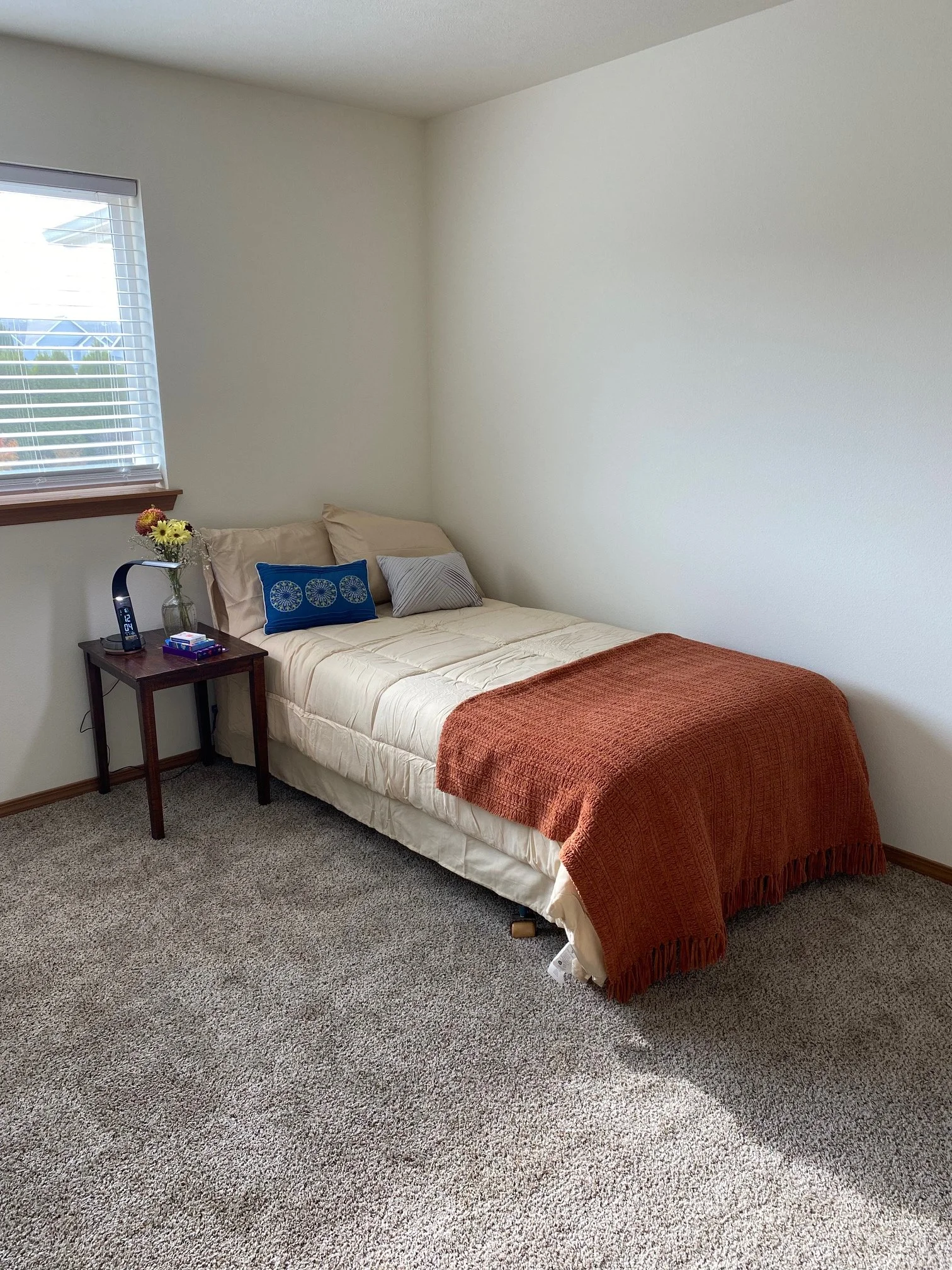 Shared Room | South Facing Window