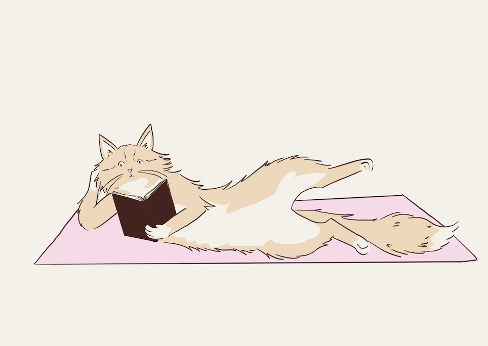 Screenshot 2026-02-10 at 11.48.14 AM.png