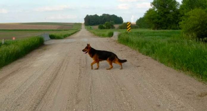 cooper walk.jpg