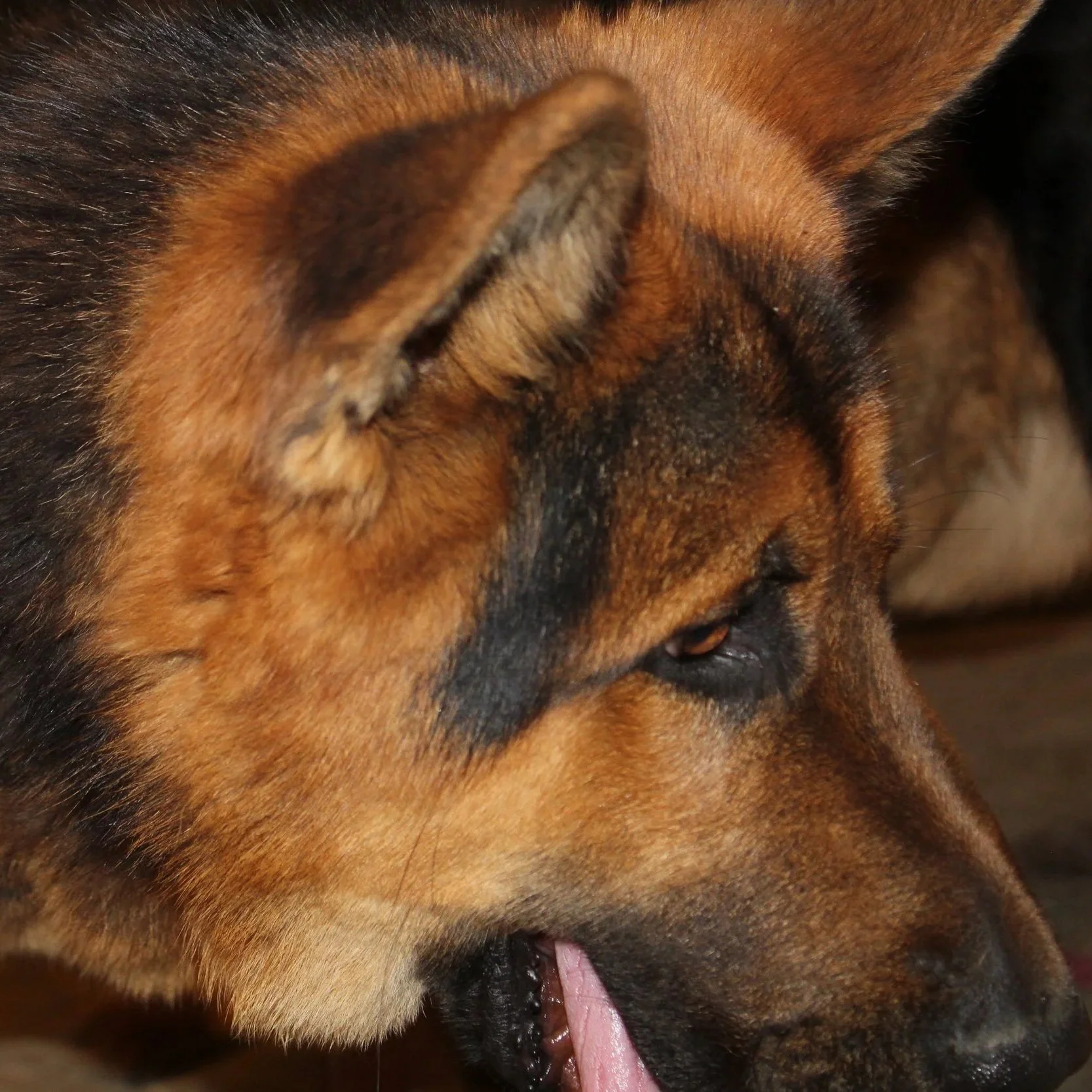 cooper+close+eyes.jpg