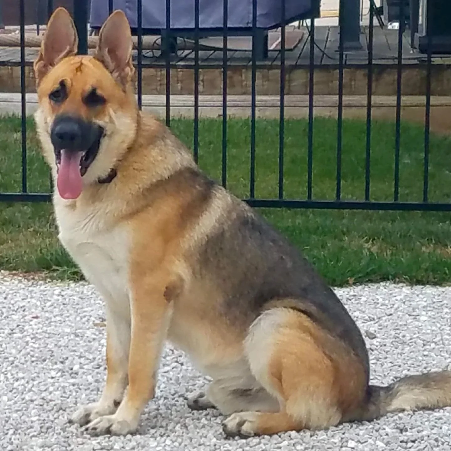 gunner+sit.jpg