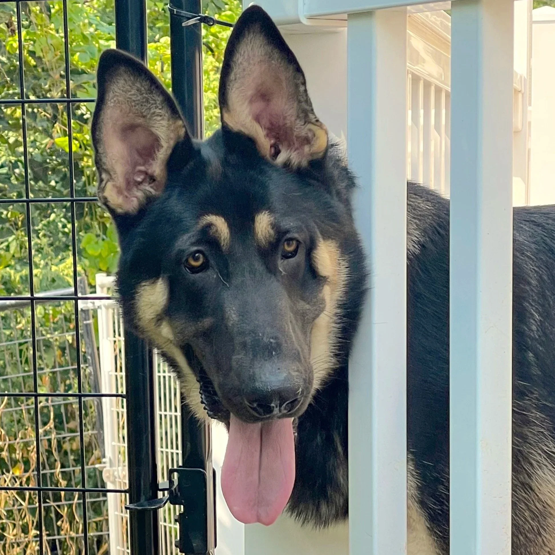 head at just 5 months!