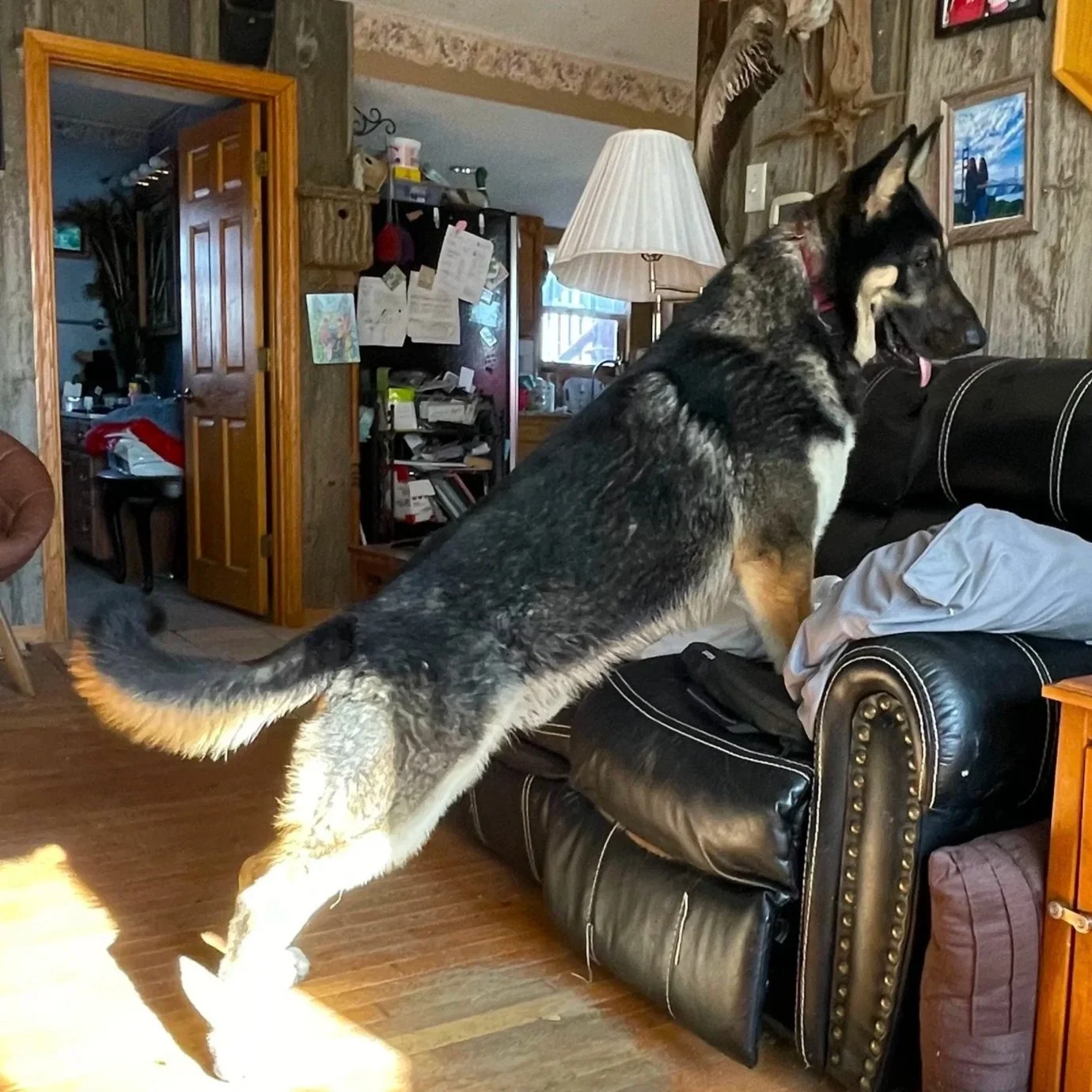 ben+stand+on+couch.jpg