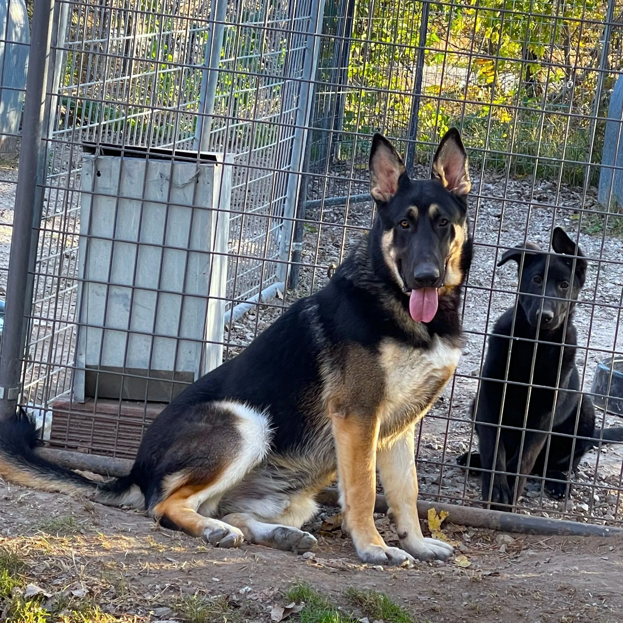 By knicki at almost 10 months