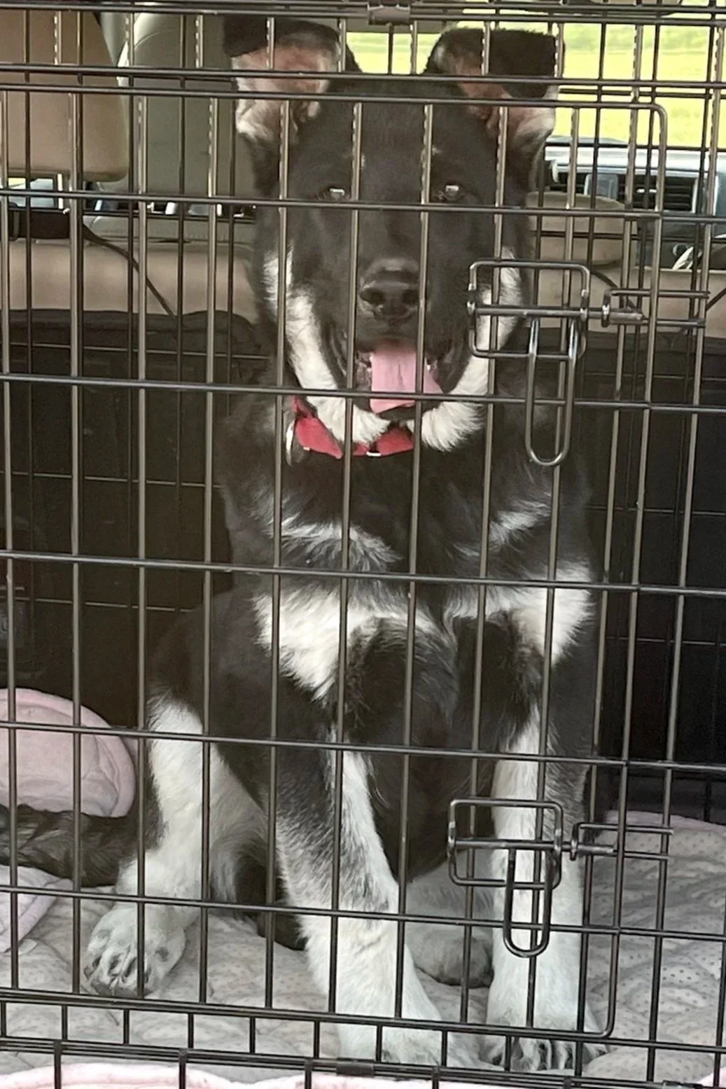 12 weeks