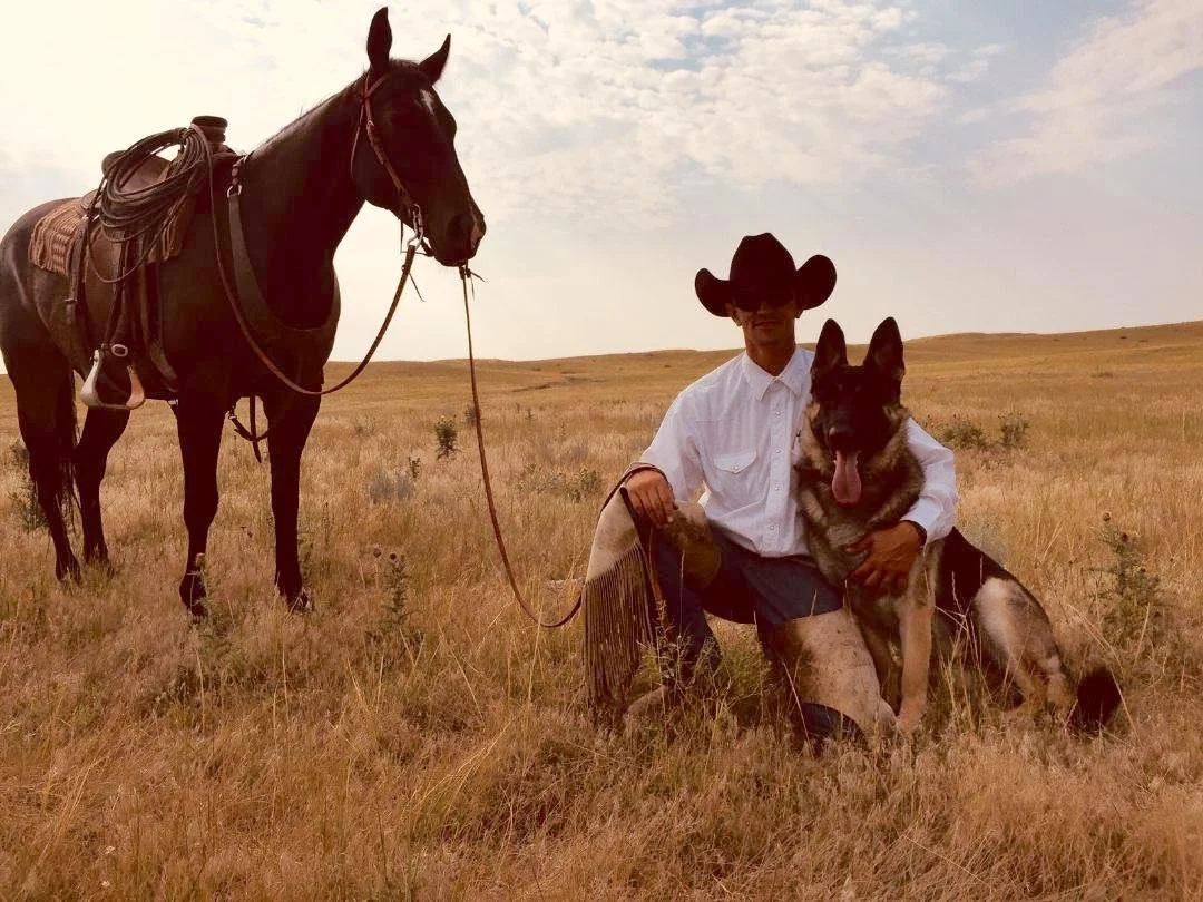 BIg rig horse.jpeg