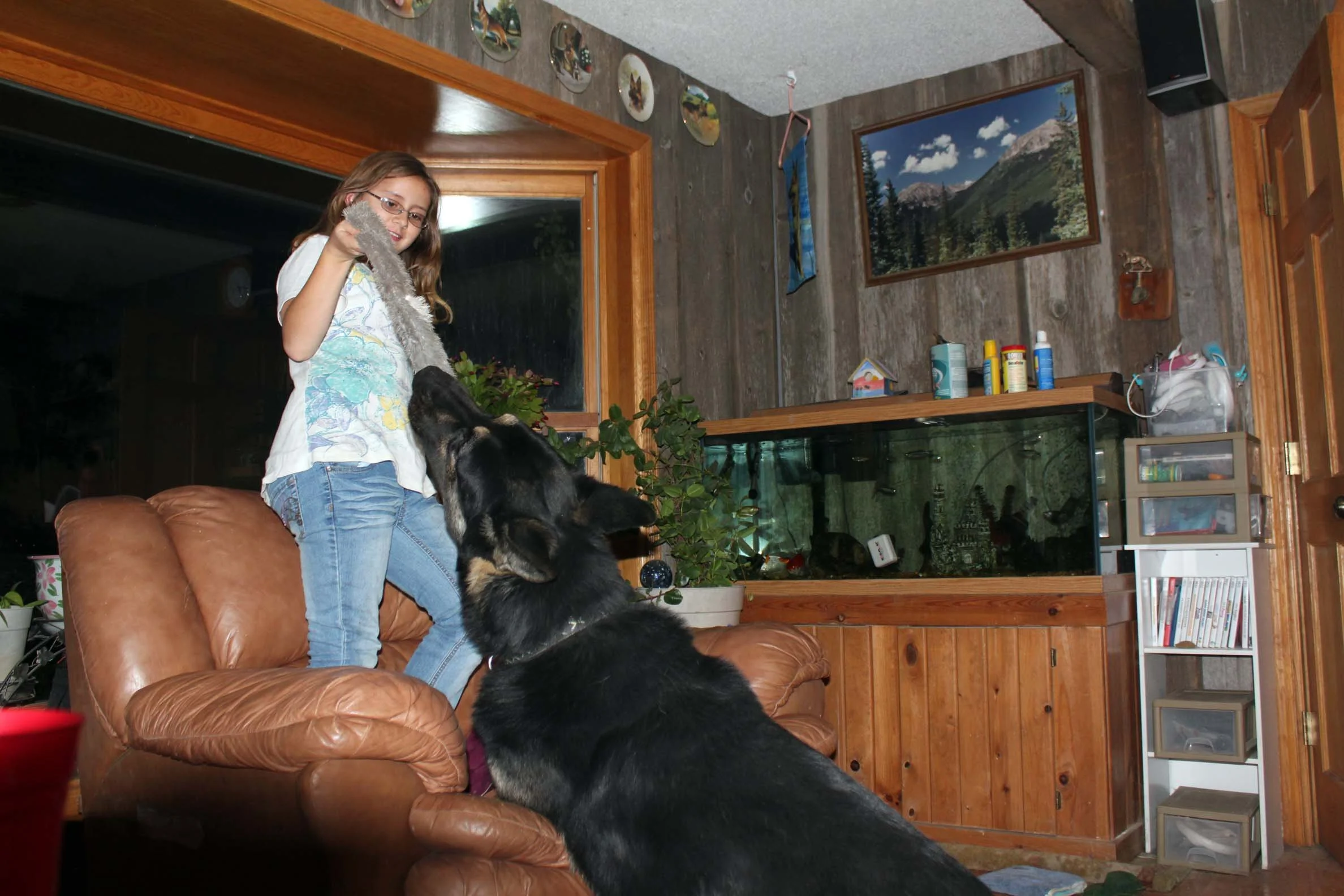lissa and duke playinggood.jpg