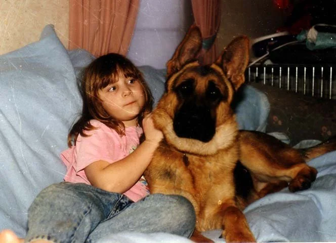 falco at 8 months.jpg