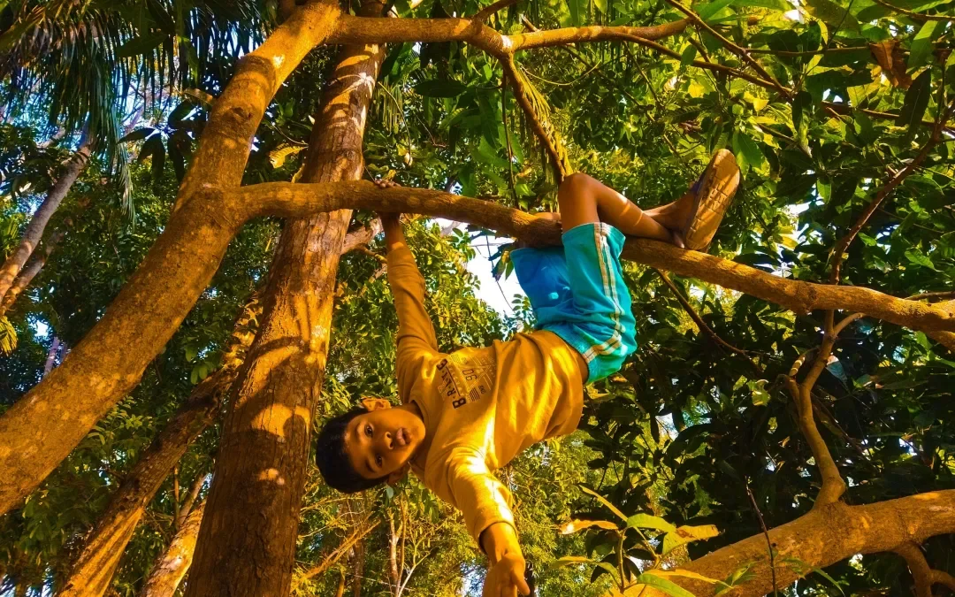 Why Your Child Needs More Free Play