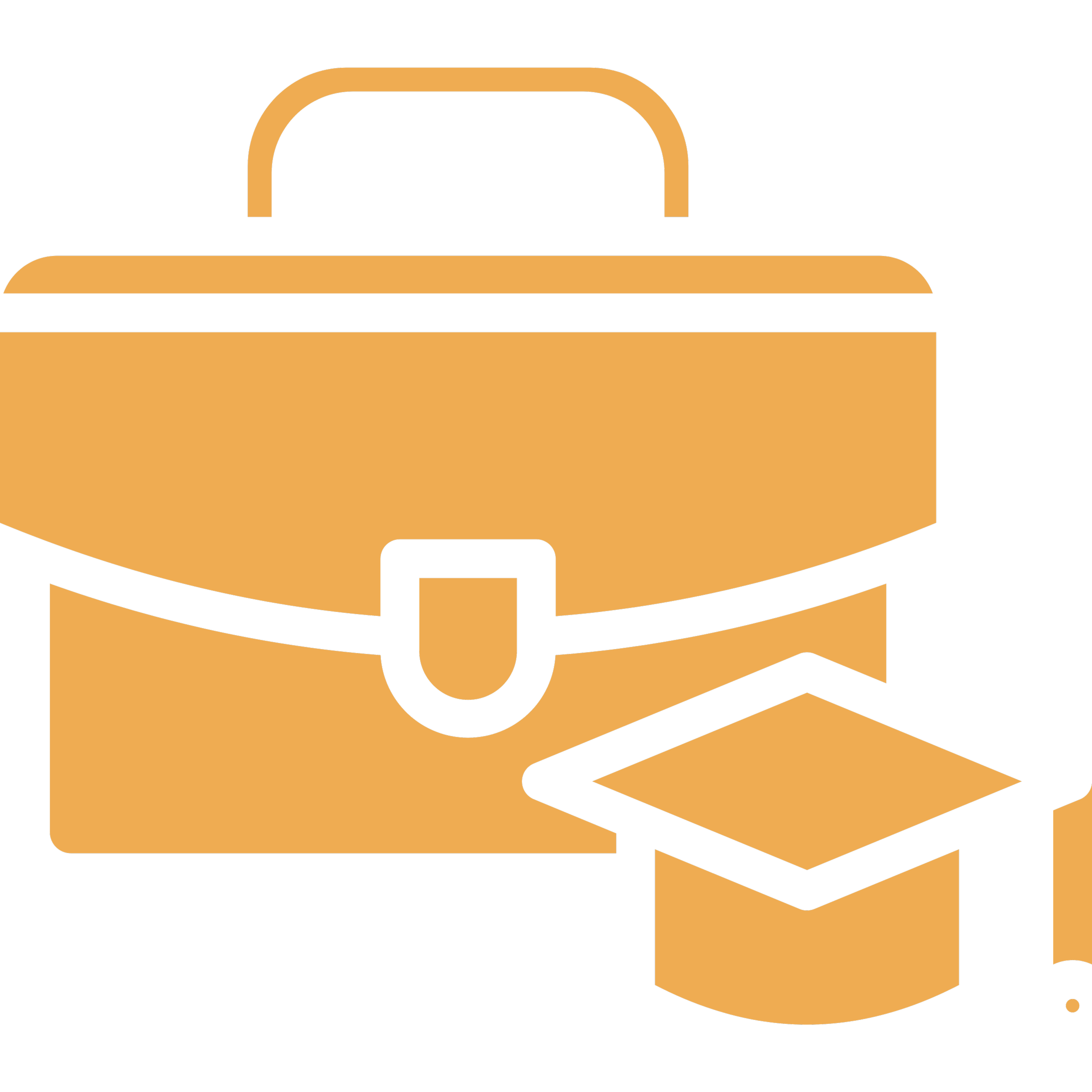 Illustration of a briefcase and a graduation cap.