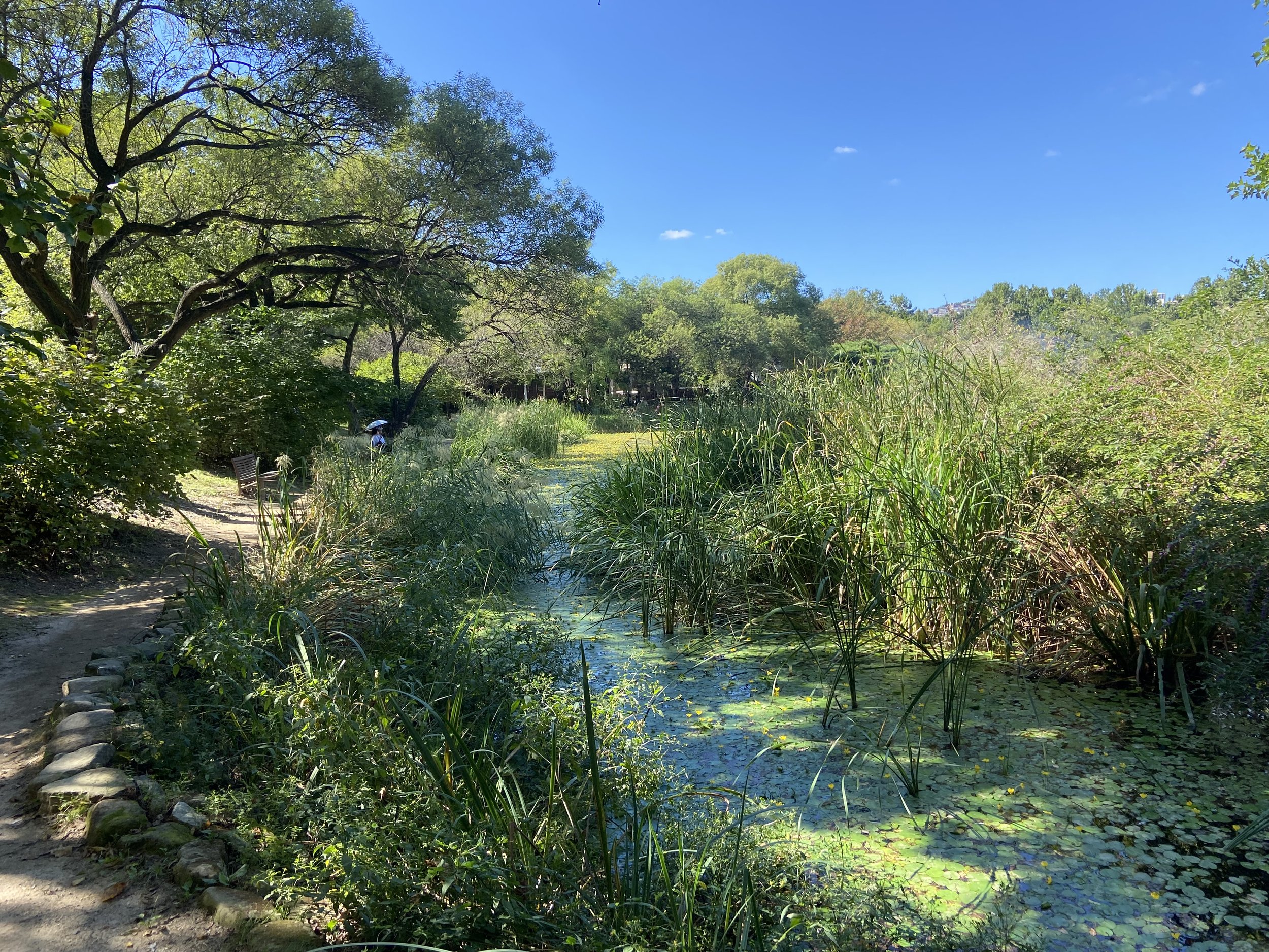 Stop 14: South Korea