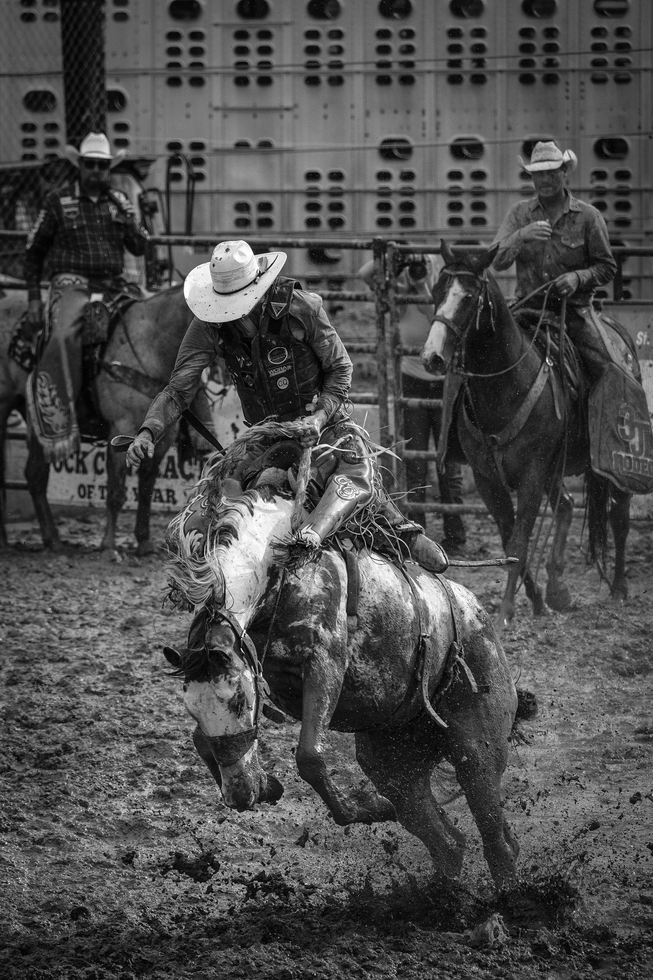 A black and white photo of a rodeo event showing a cowboy on a bucking horse, holding onto the reins with one hand, and other cowboys on horses in the background.