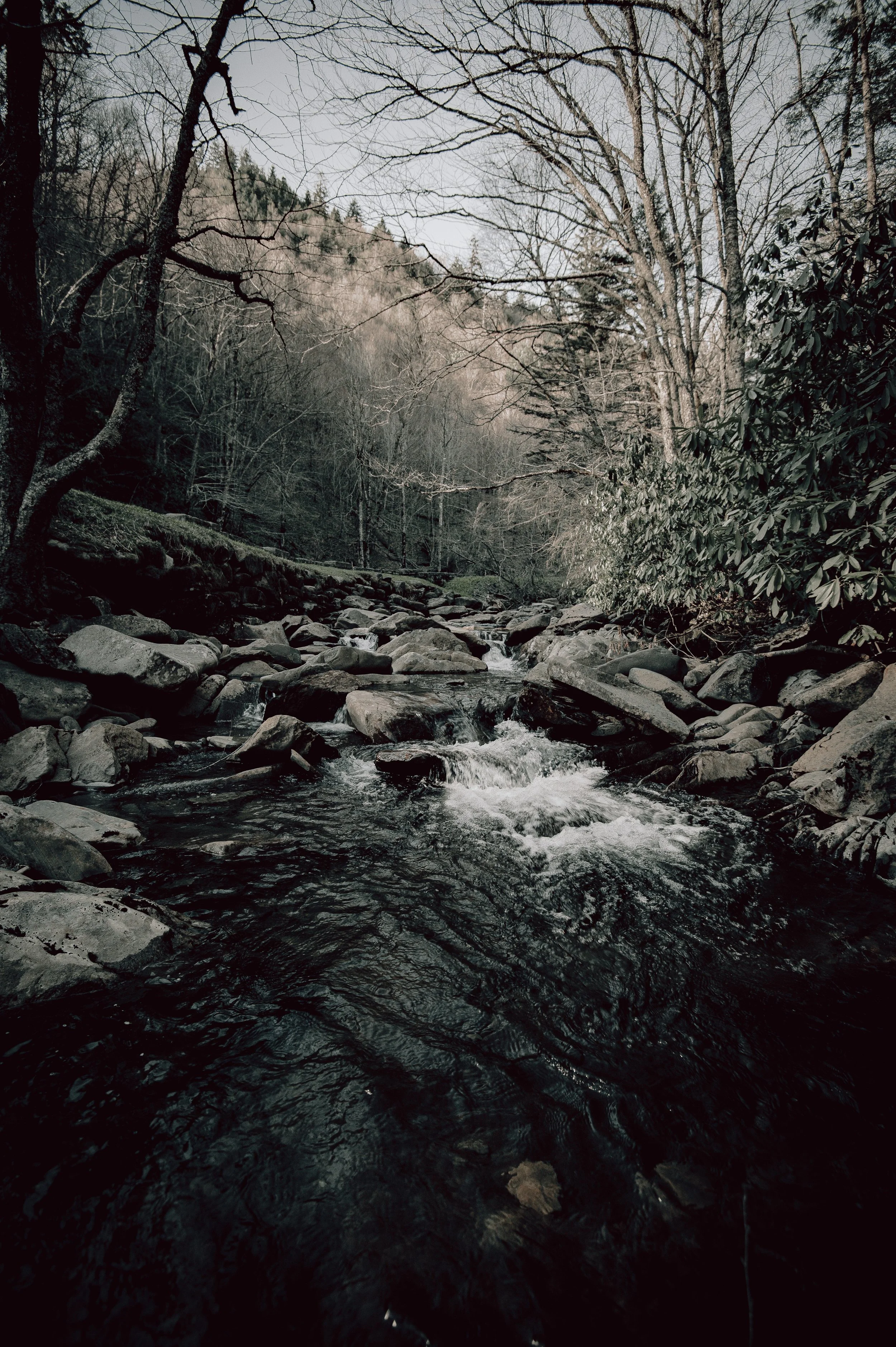 A rocky mountain stream flowing through a forested area with trees and bushes, some with bare branches, under an overcast sky.