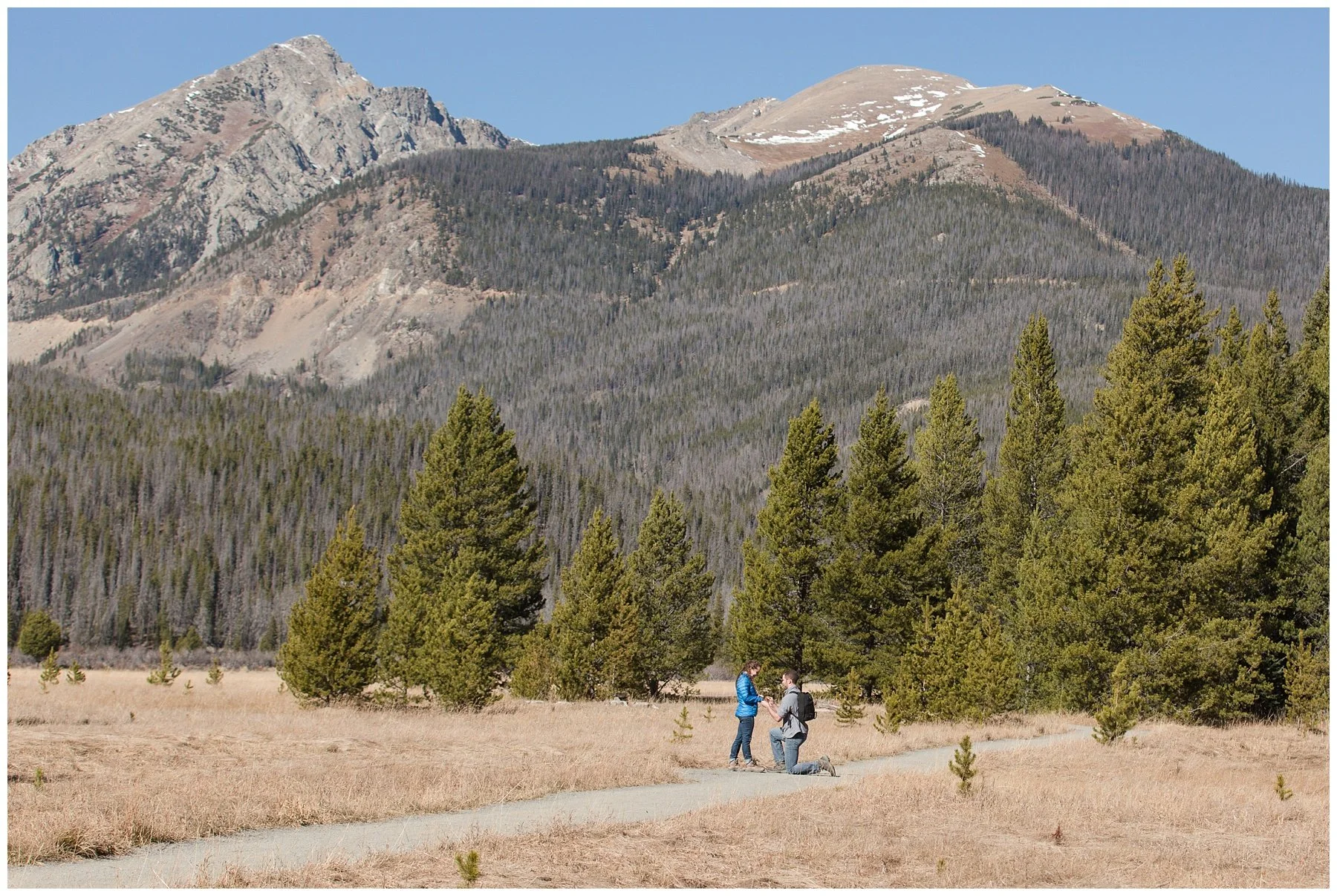 Two people hiking with backpacks and trekking poles in a mountainous forest landscape with trees, mountains, and a clear blue sky in the background.