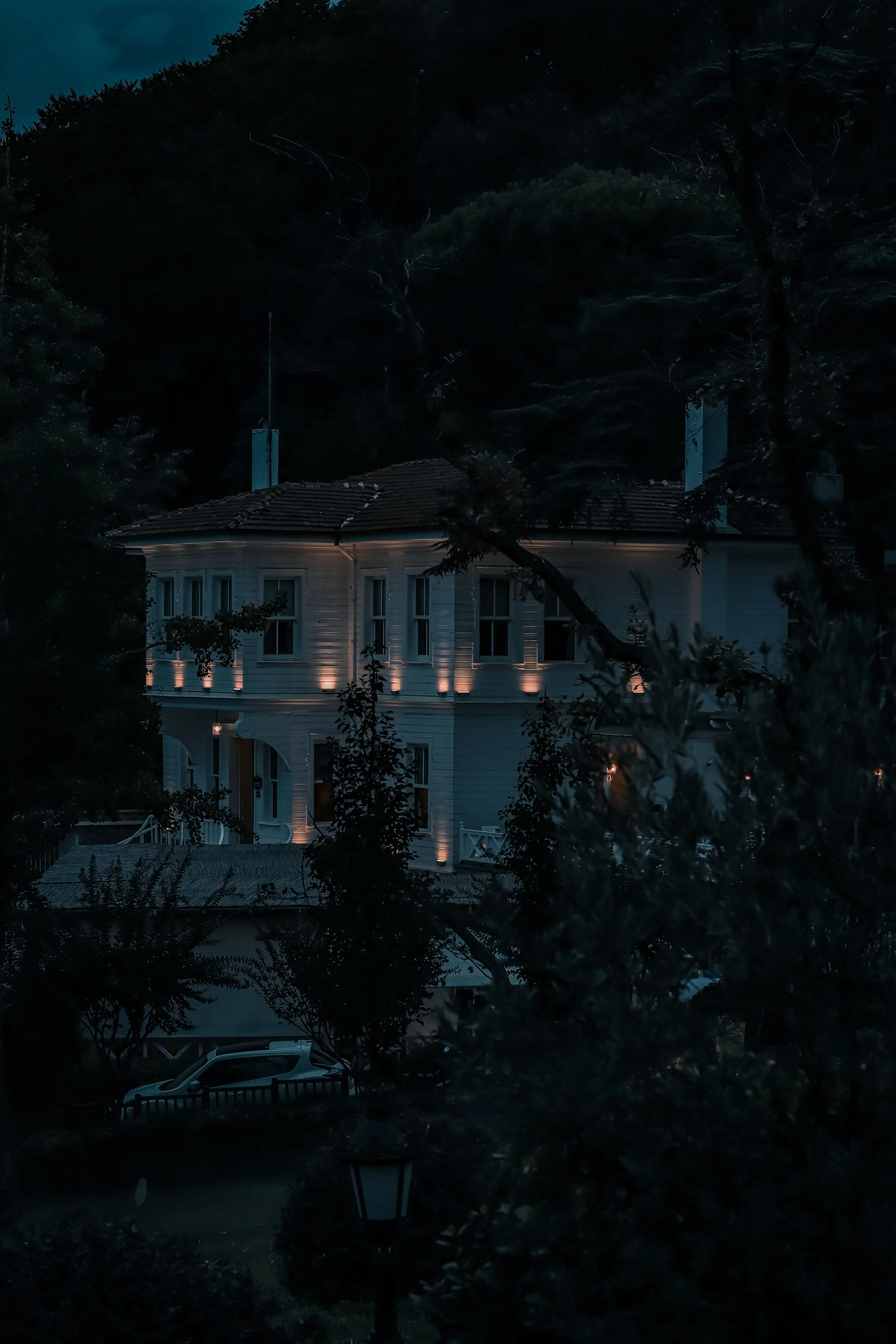 pexels-oktay-koseoglu-42034955-13721095.jpg
