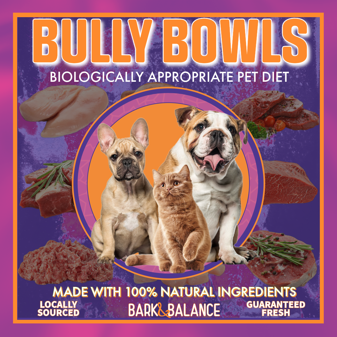 BULLY BOWLS - Biologically Appropriate Pet Diet