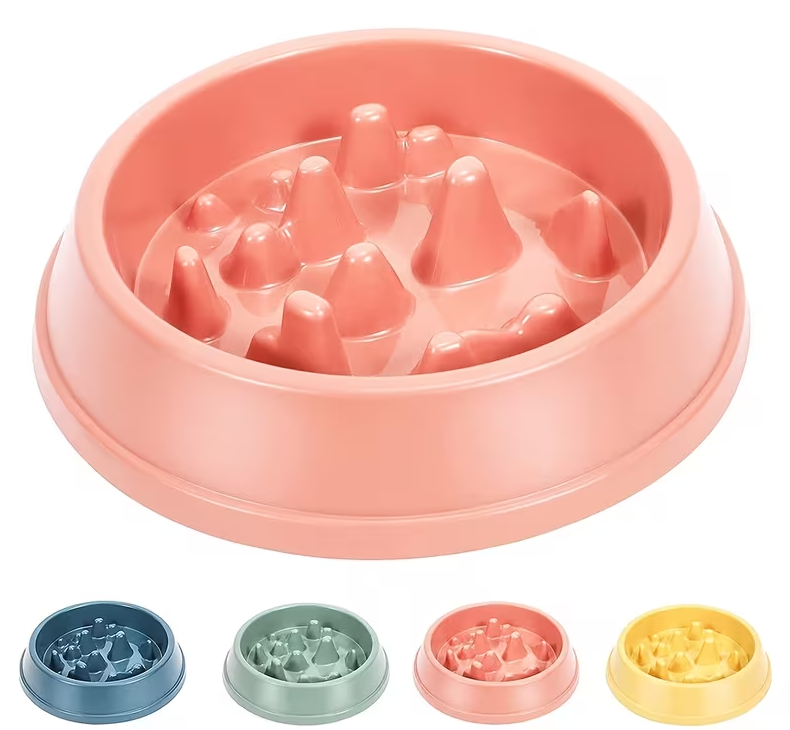 Slow Feeding Enrichment Bowl