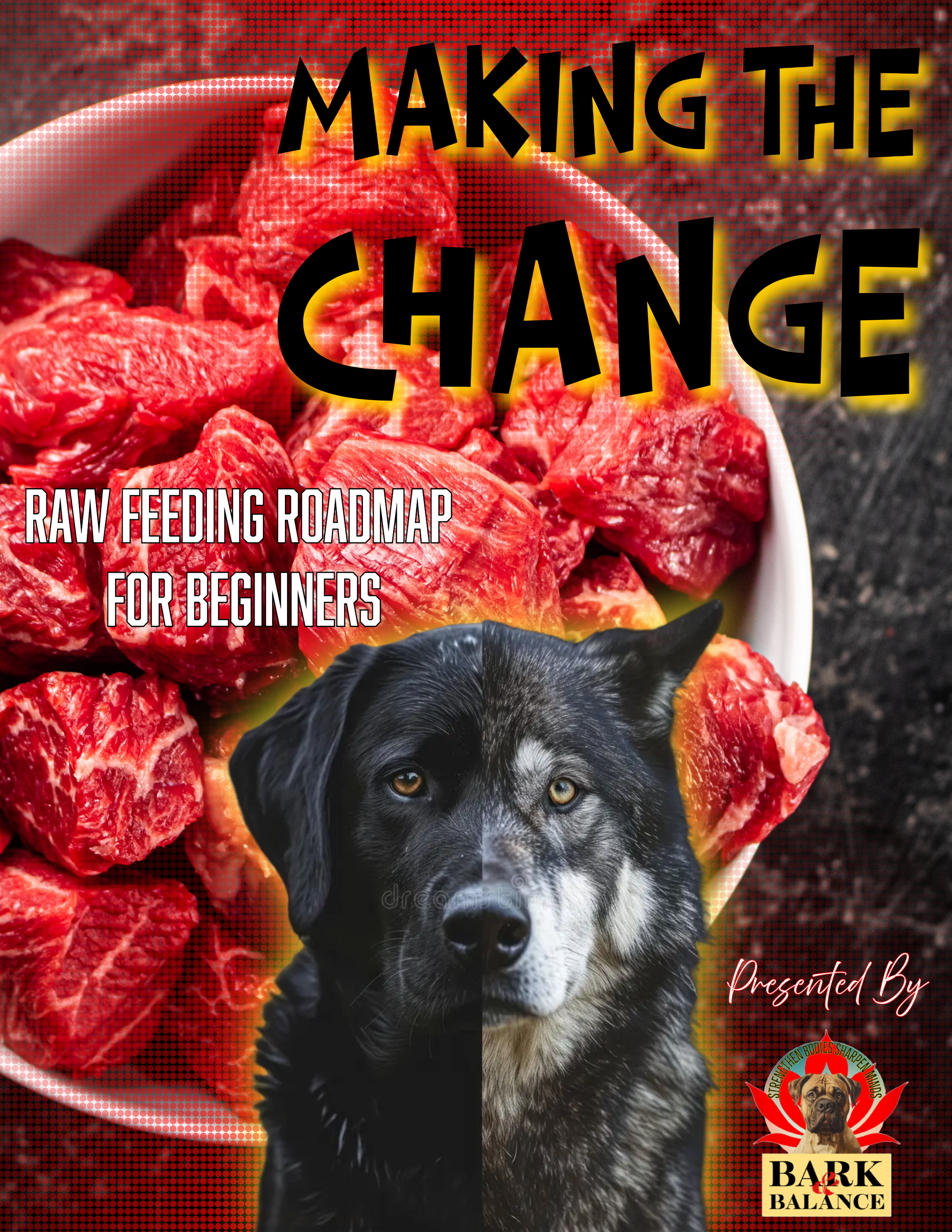 Making The Change - RAW Feeding Roadmap for Beginners