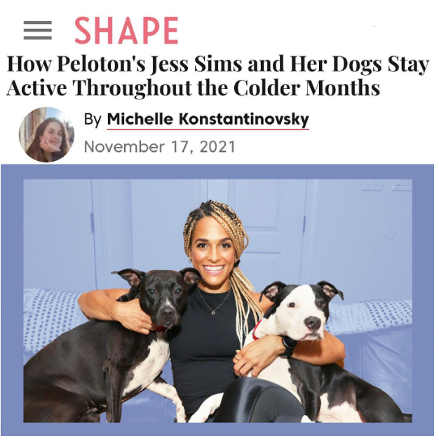 Screen Shot 2023-04-11 at 10.51.20 PM.png