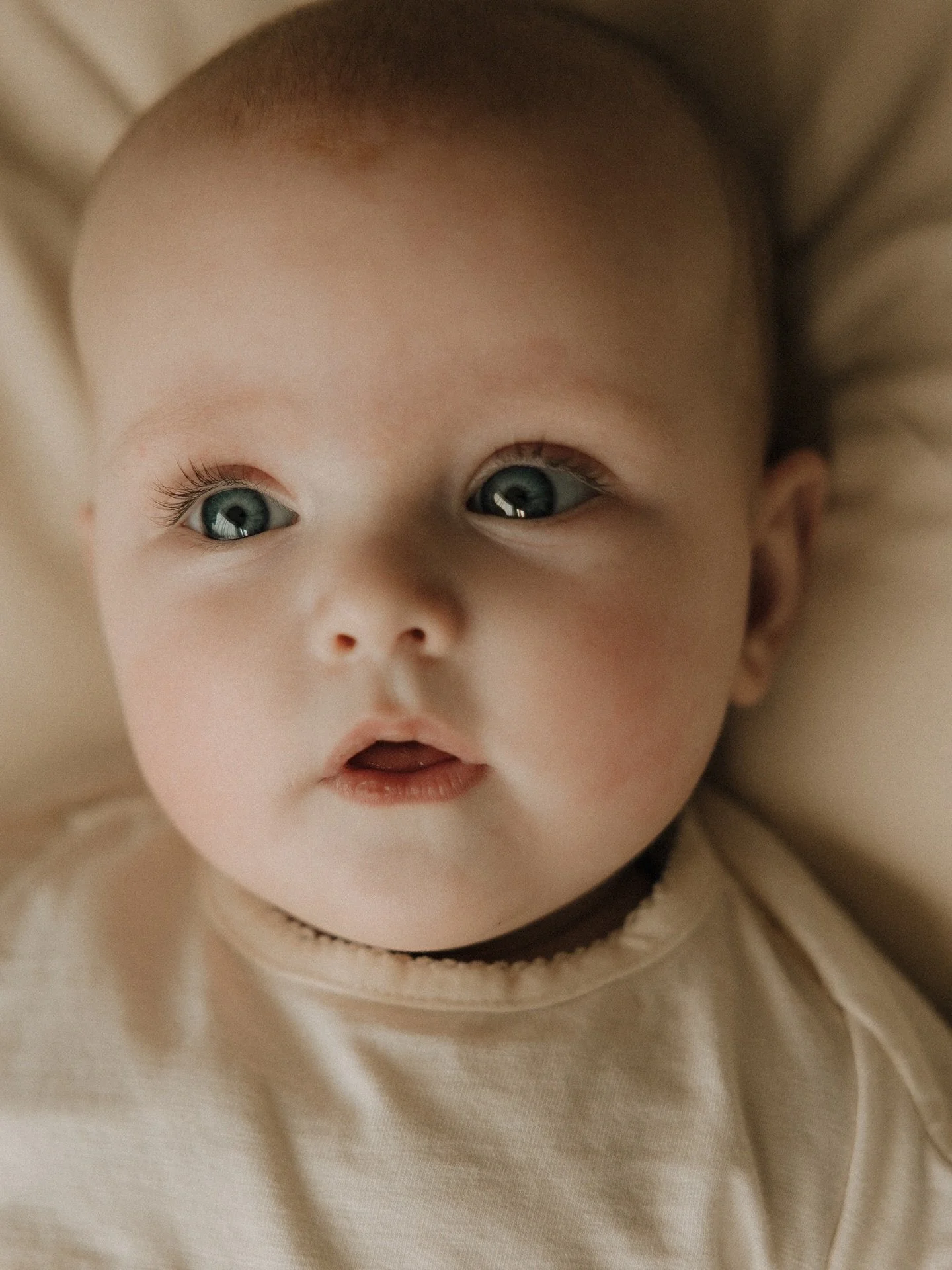 Een half jaar geleden was ik bij dit gezin voor een Newborn shoot. En nu is ze alweer een half jaar oud. 
Super leuk om het verschil te mogen vastleggen bij dit lieve en gezellige gezinnetje.
De laatste foto was toen en de rest is nu. 🧡

#familyshoo