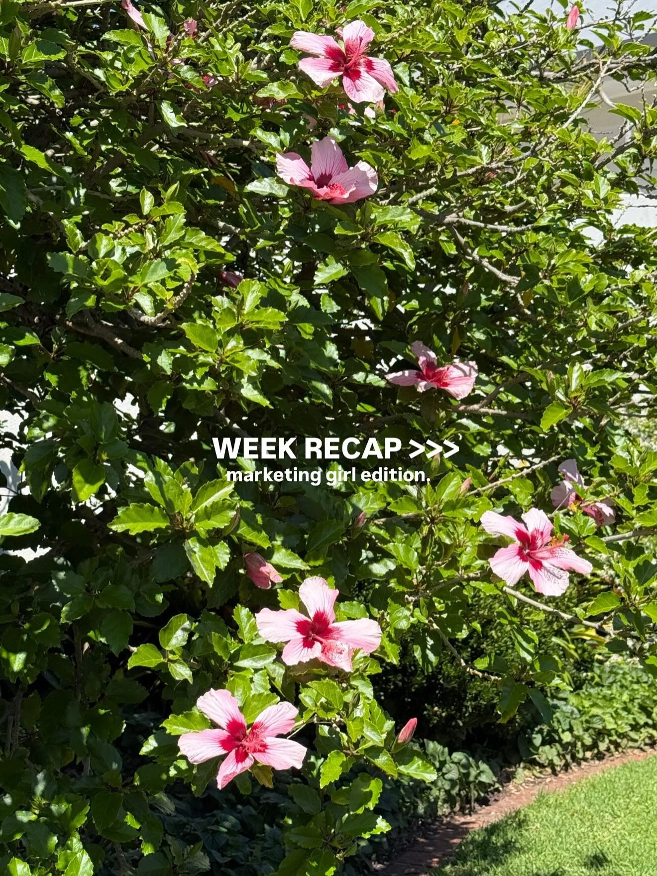 A self-employed marketing chicky just trying to figure it all out 🧚🏼&zwj;♀️✨

I started off 2025 with a lot of burn out and absolutely no idea what I was going to do next. 
What I did have was a very clear goal: create a work life with zero Sunday 