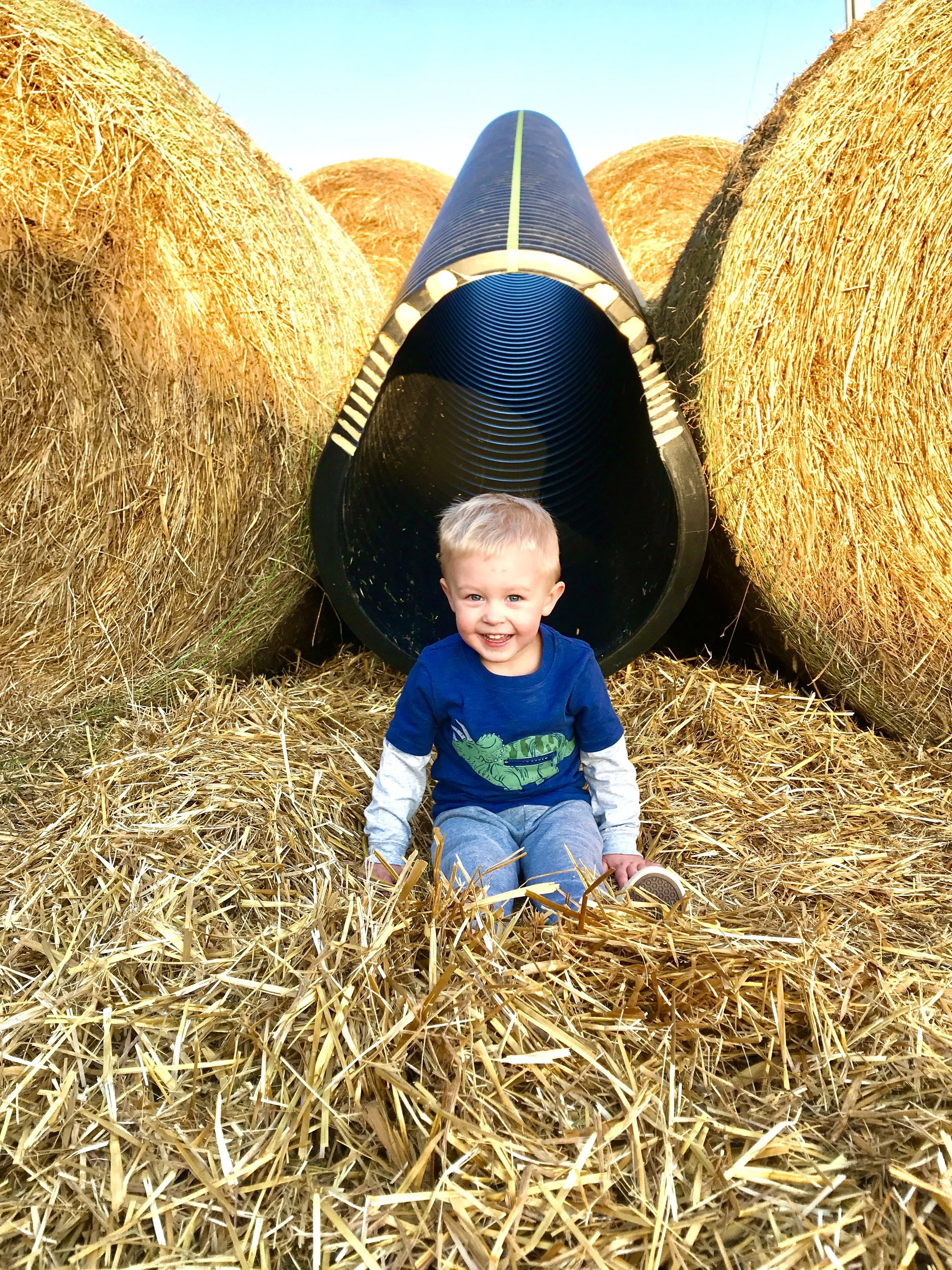 Attractions in the Yard