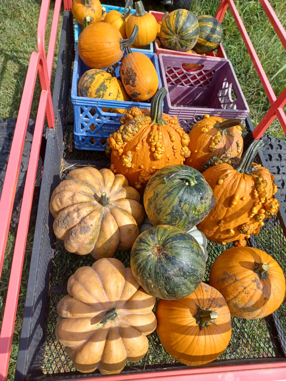 62ace8aa-9245-4b0d-a1fe-4ab4273ff123 (1).png