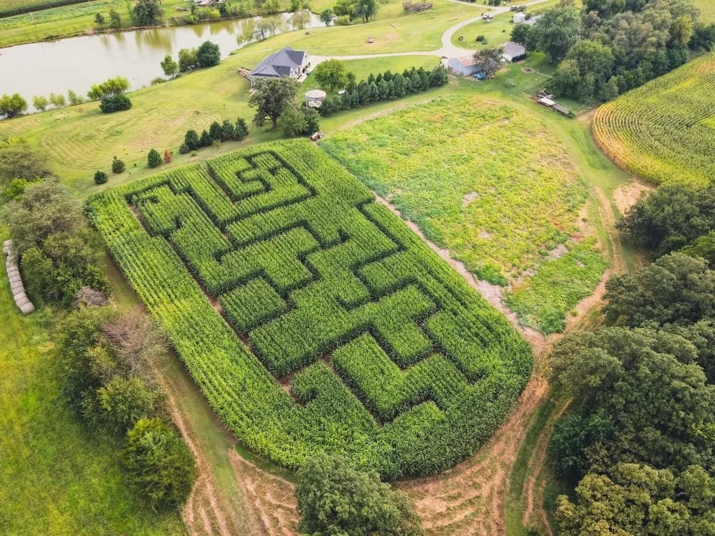 Corn Maze: 2 tickets / person
