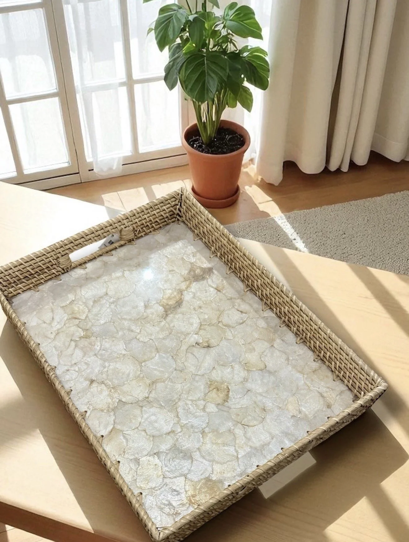 A wicker tray holding several objects, with a potted plant in the background near a window.