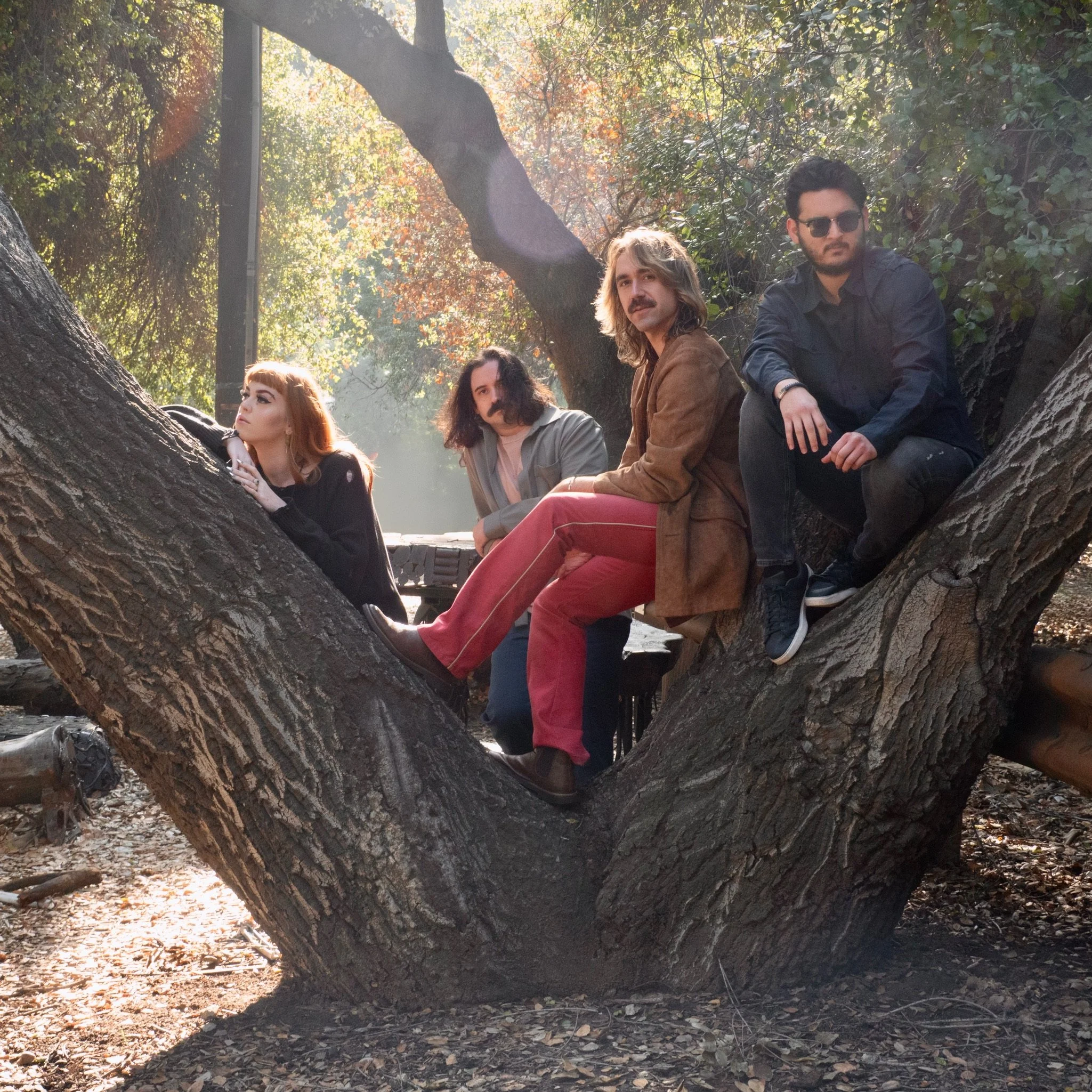Tree-huggin fiends
