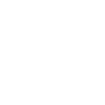 Escudo con marca de verificación en el centro