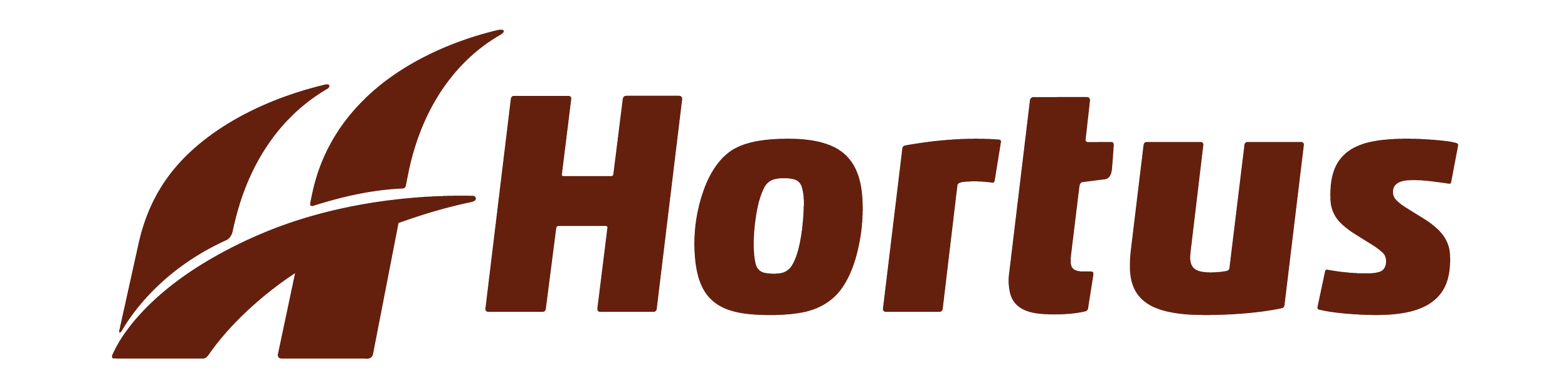 The logo of a company called Hortus. It features stylized brown text with leaf blades next to the name.