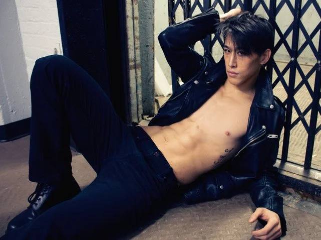 Gate laying dwn.jpeg