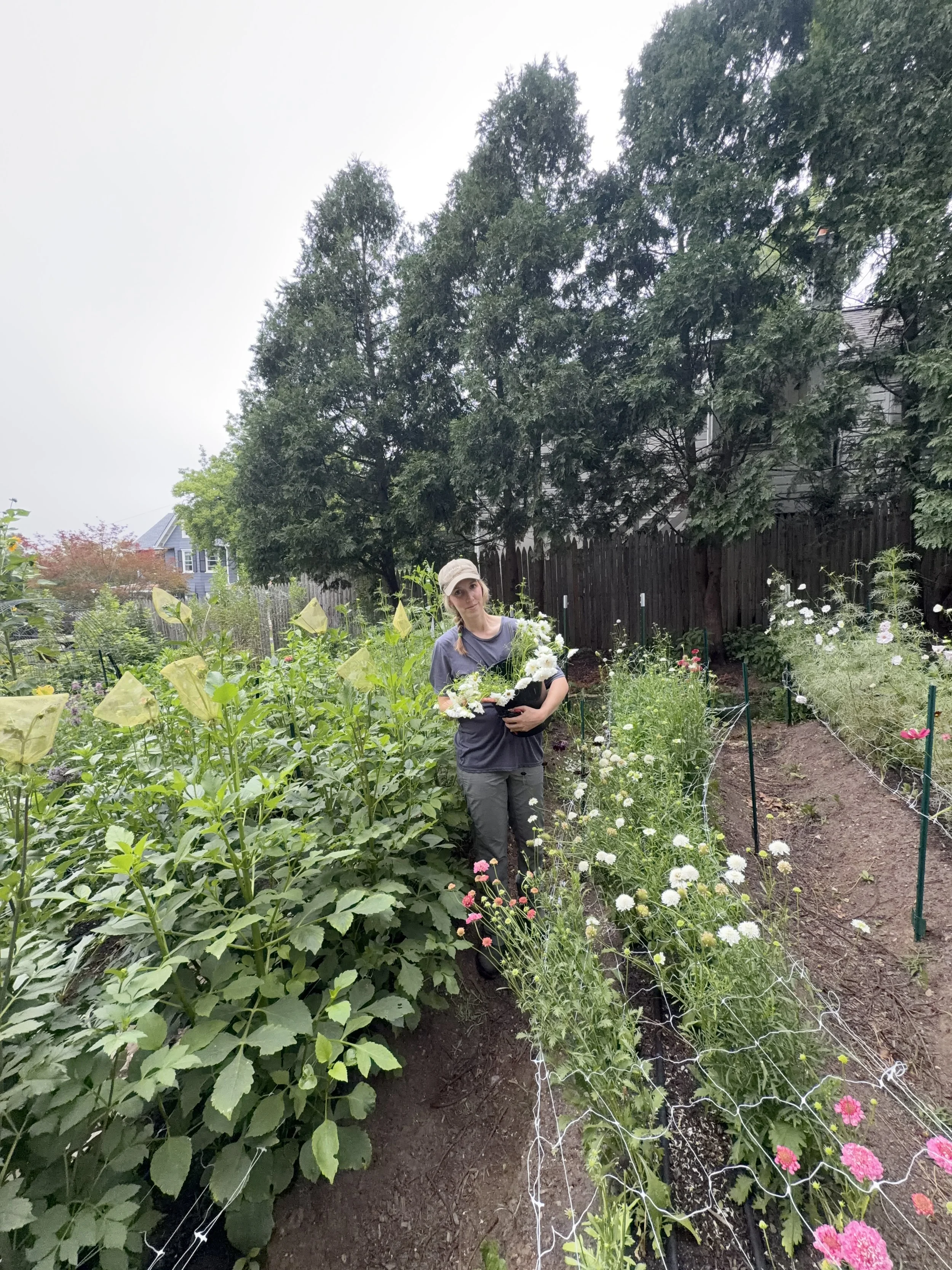 woman standing in rows of flowers