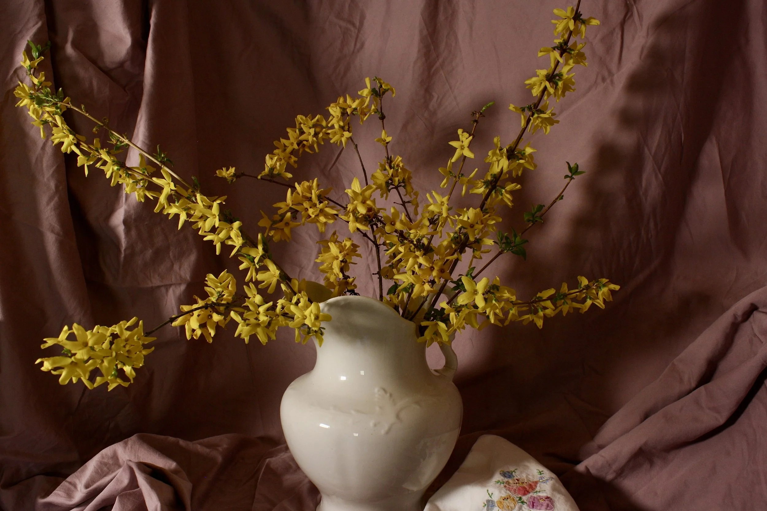 A white ceramic vase with yellow forsythia flowers, set against a crumpled pink fabric background.