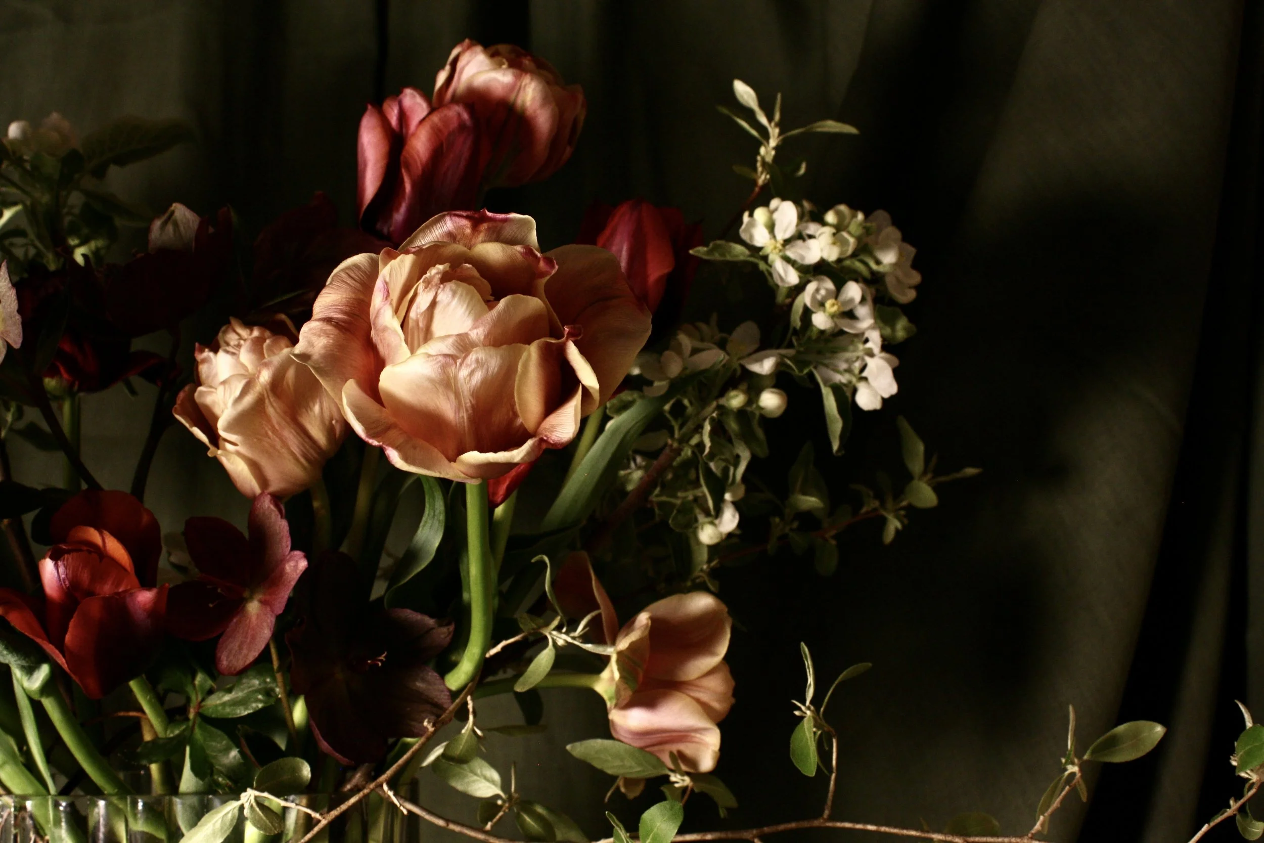A collection of tulip flowers with cream, blush, and red hues, alongside small white blossoms, against a dark background.