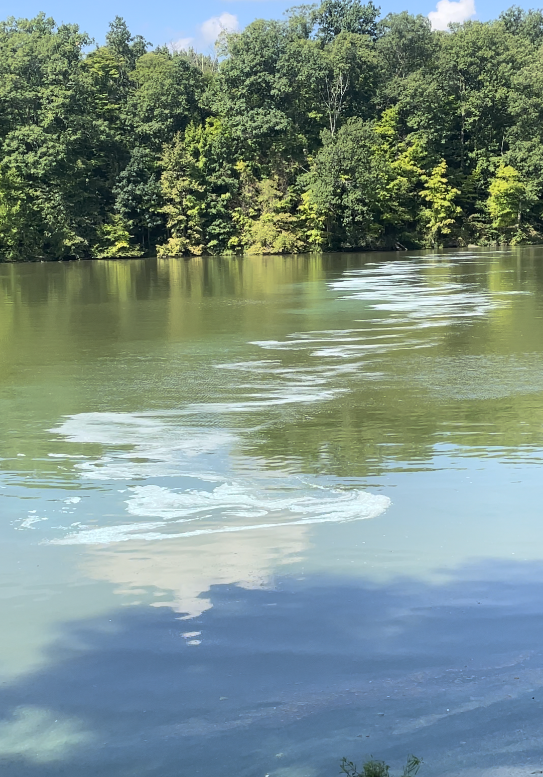 Screenshot 2026-03-16 at 4.21.41 PM.png