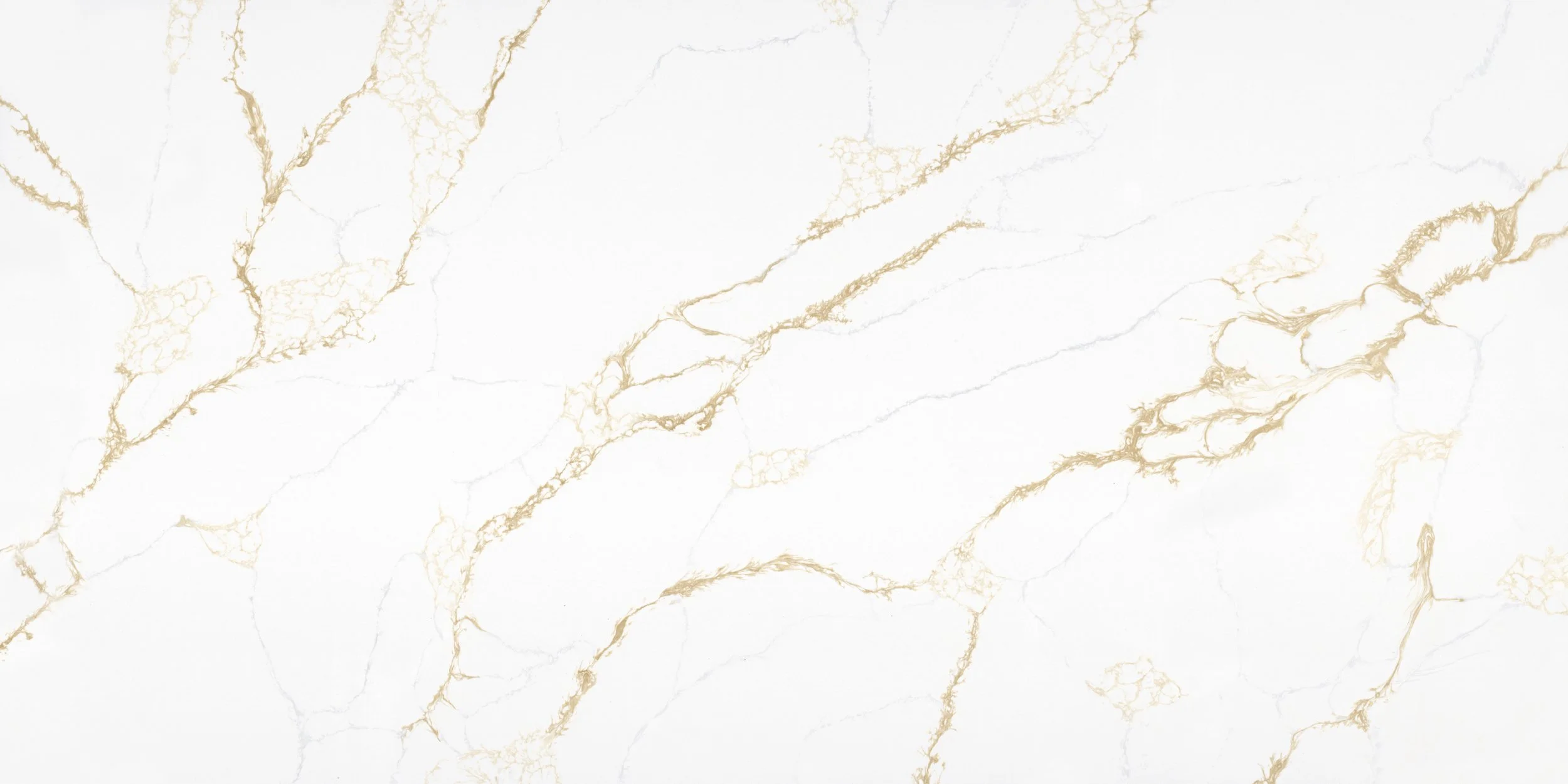 Marley Gold 
(PSE1229)