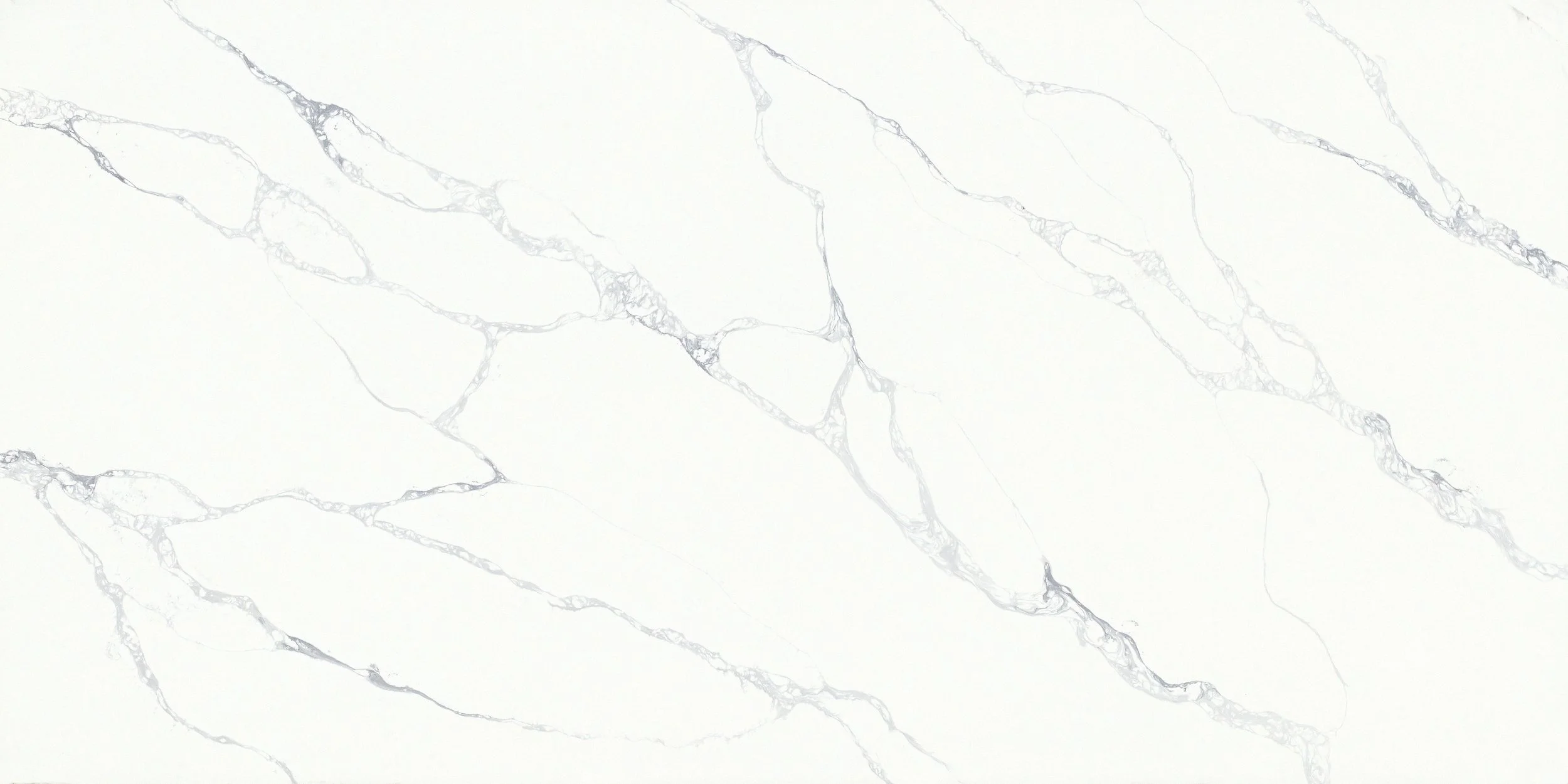 Venetian Gray
(PSE1225)